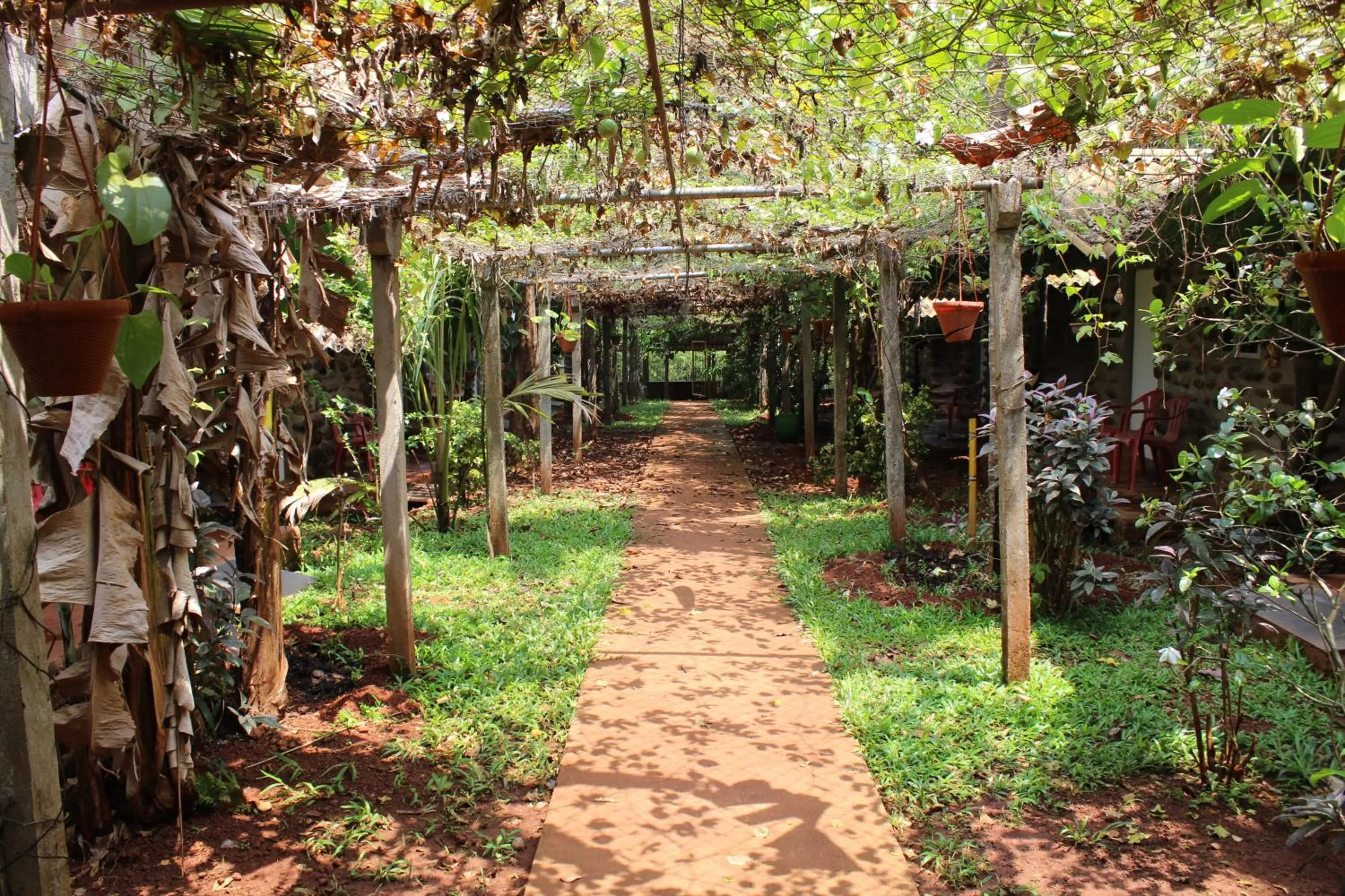 Garden in Jungle Book Resort