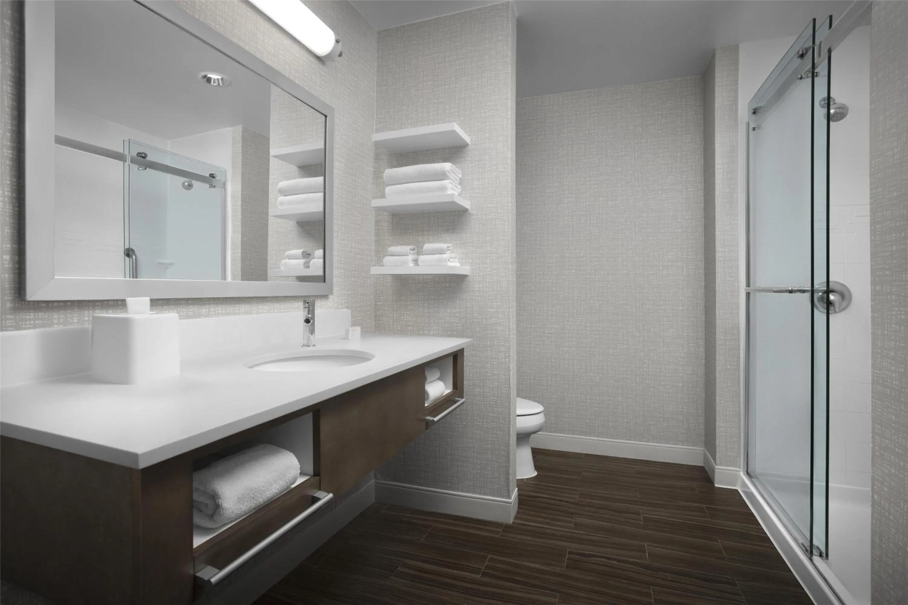 Bathroom in Hampton Inn and Suites Georgetown/Austin North, TX