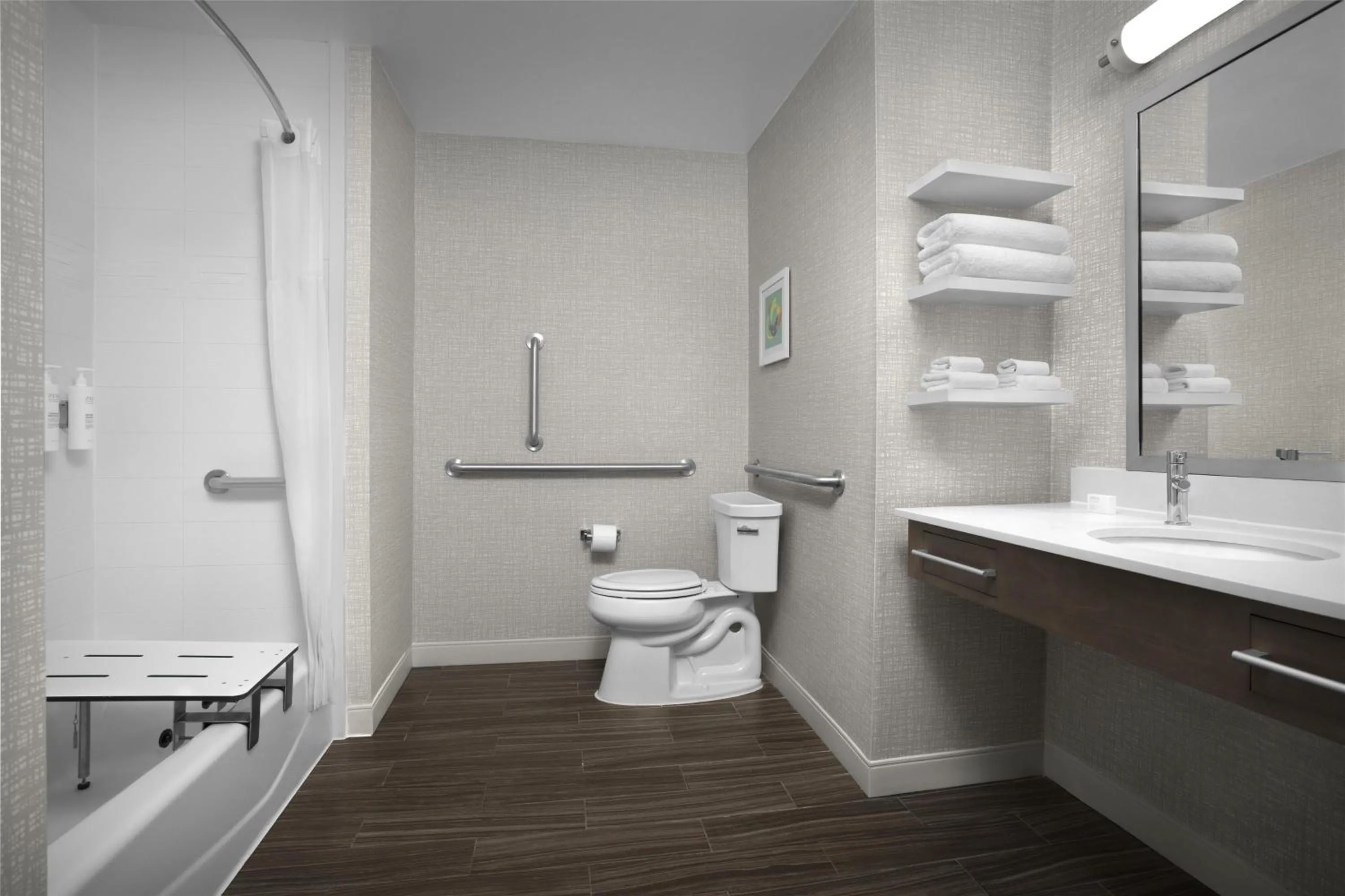 Bathroom in Hampton Inn and Suites Georgetown/Austin North, TX