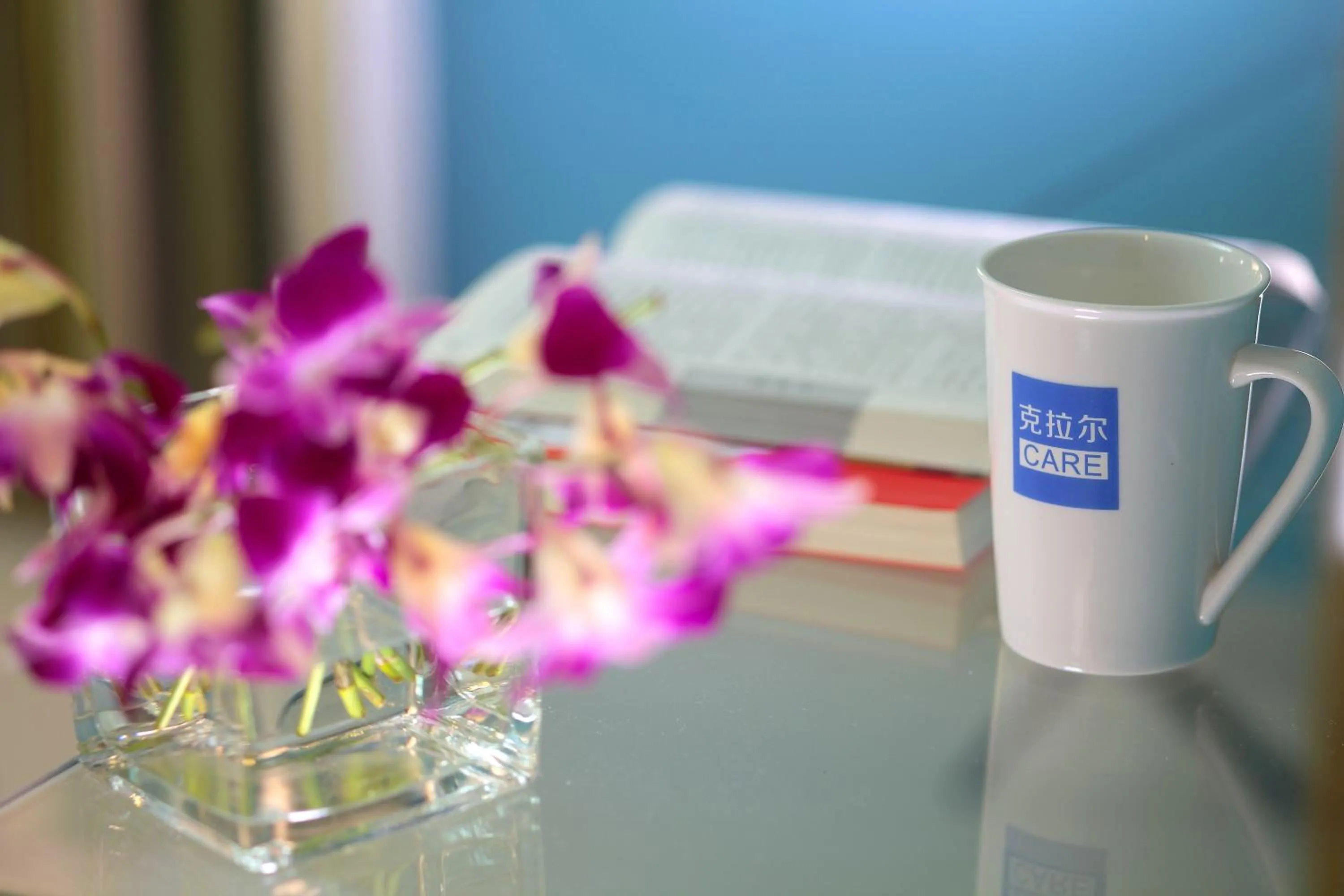 Care Hotel Coast Collection