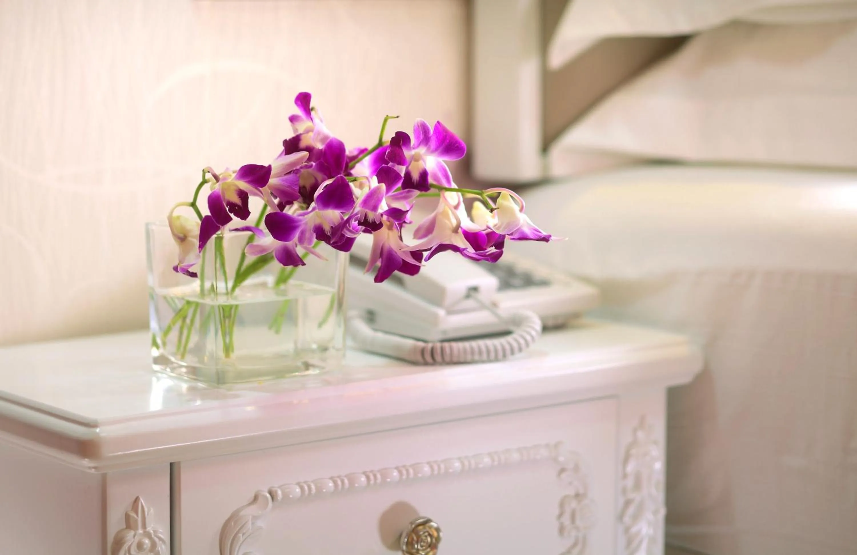 Care Hotel Coast Collection