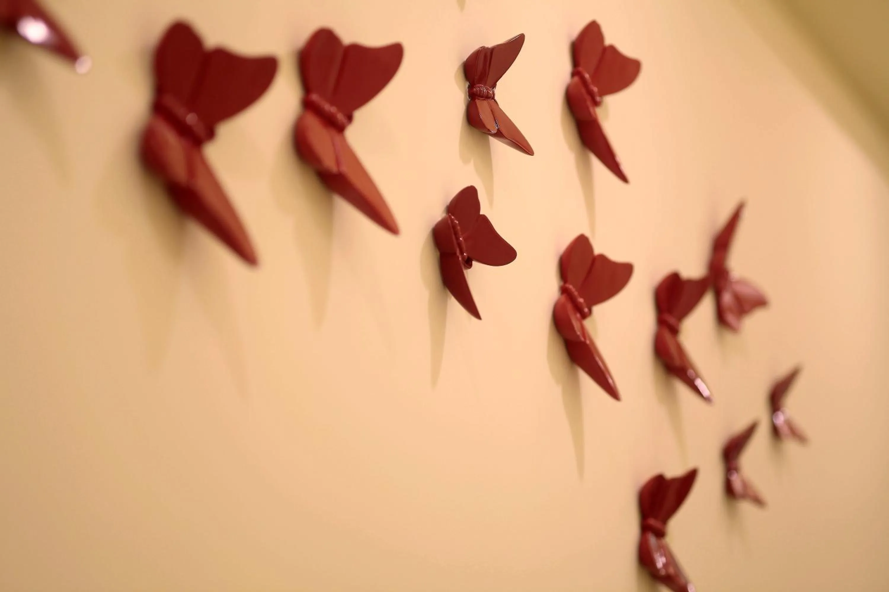 Care Hotel Coast Collection