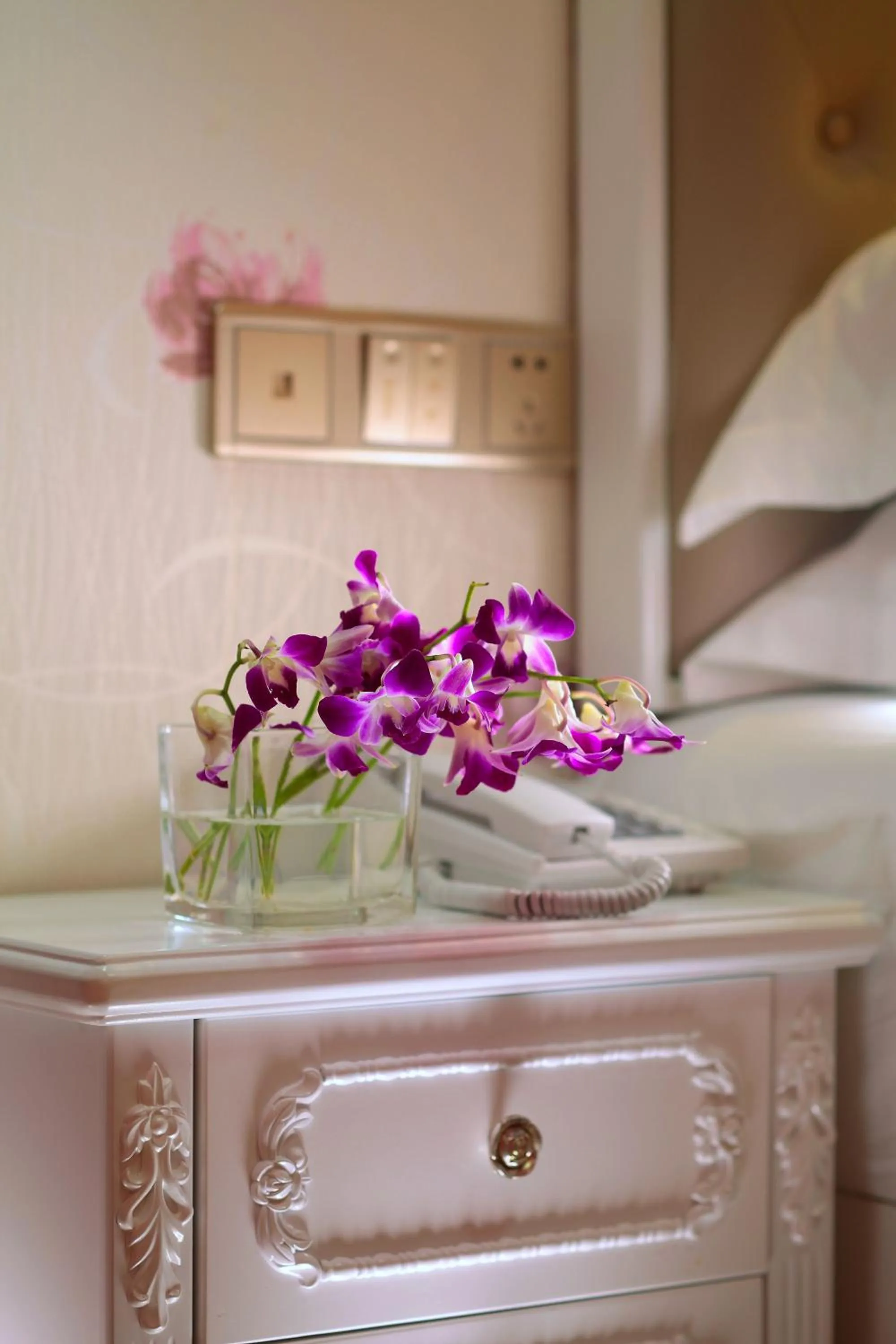 Care Hotel Coast Collection