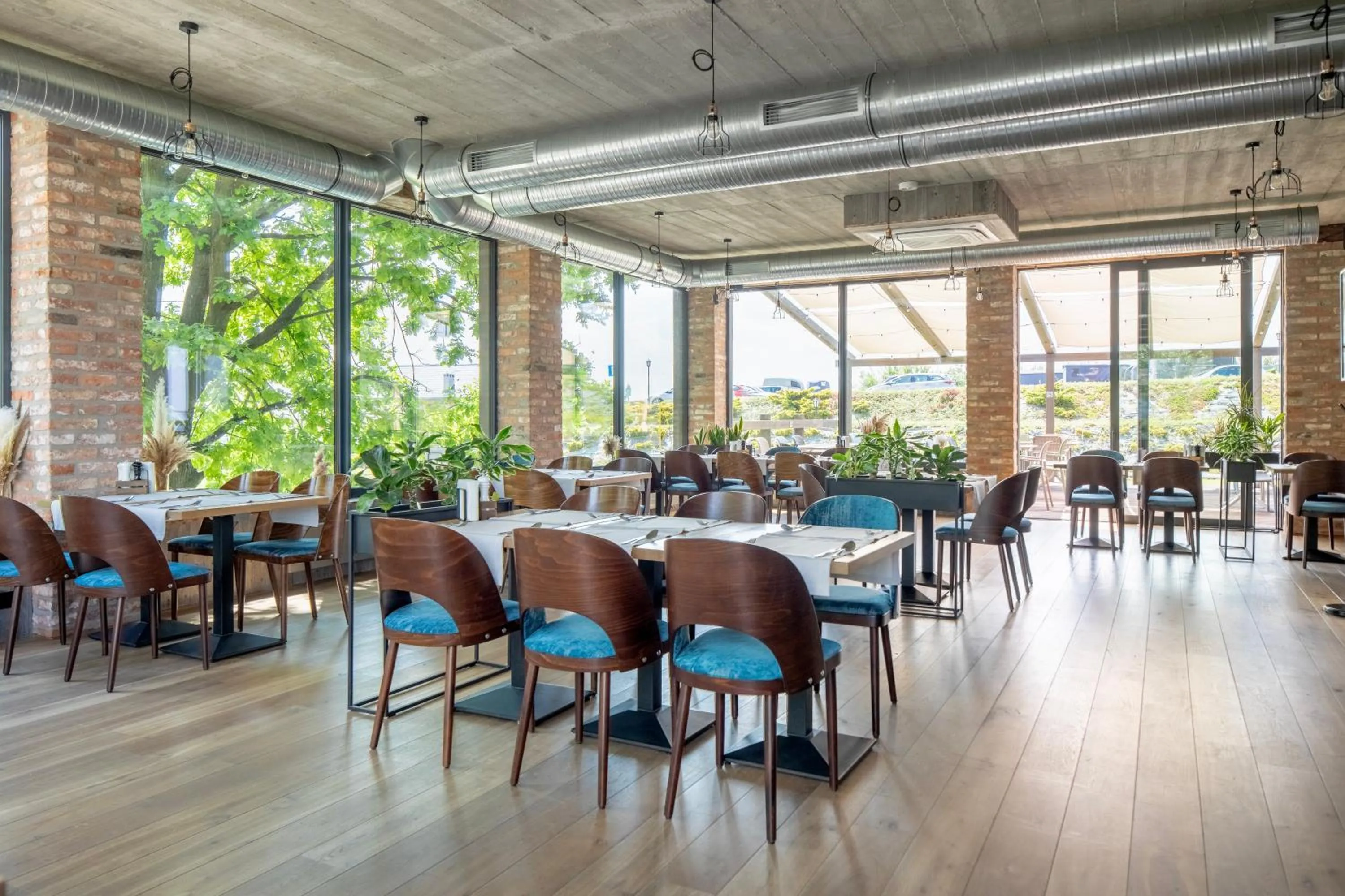 Restaurant/places to eat in Hotel Szary Residence