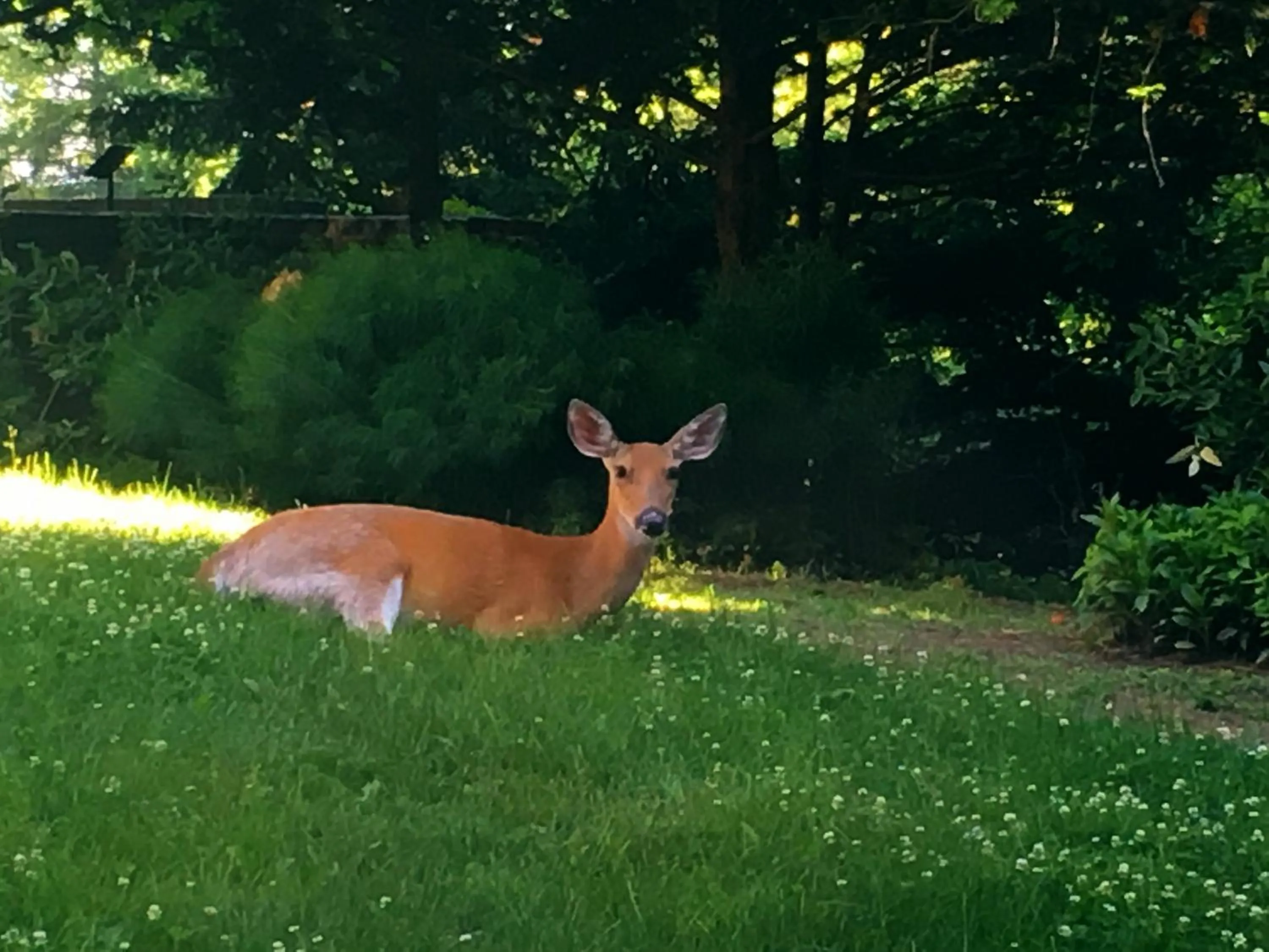 View (from property/room) in Rutgers University Inn and Conference Center