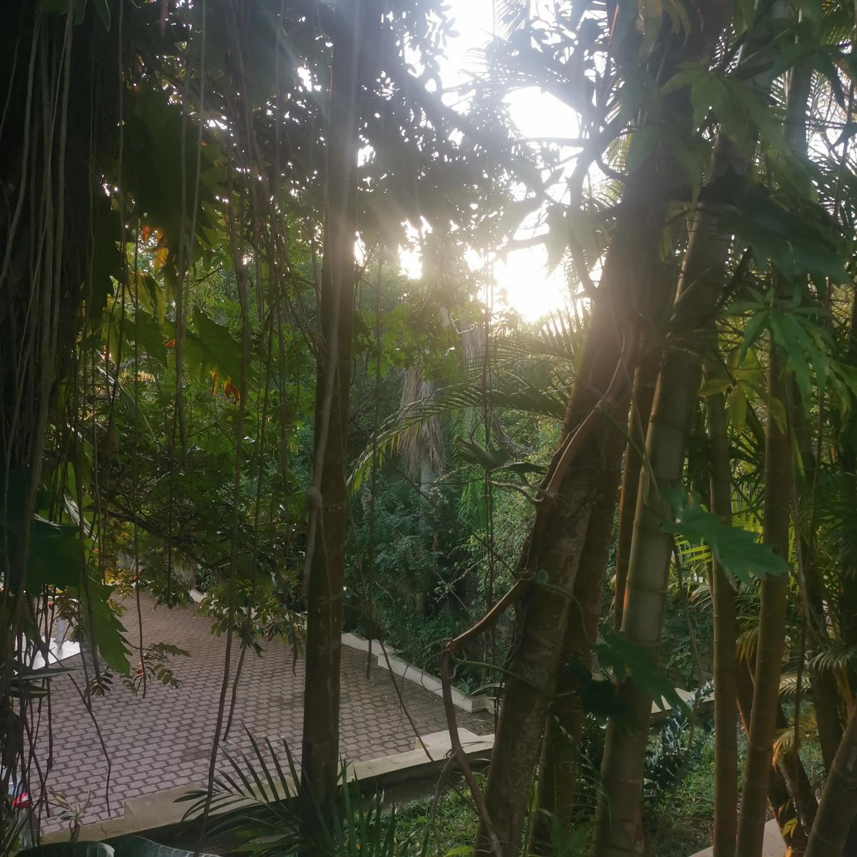 Le Caille, St Lucia Two bedroom unit