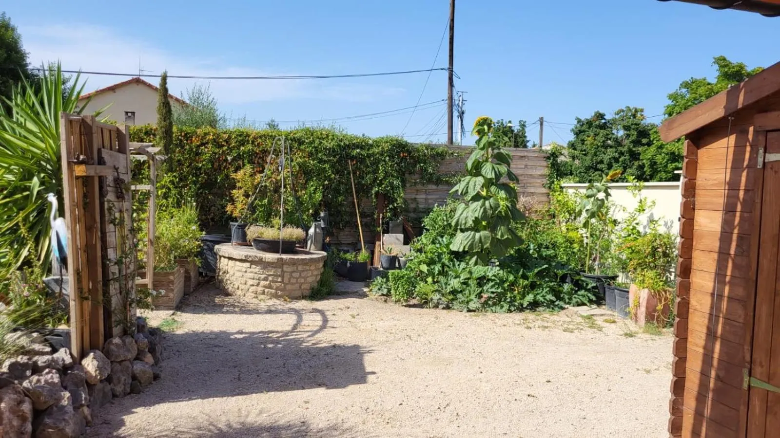 Garden in Hôtel Boquier, Avignon Centre