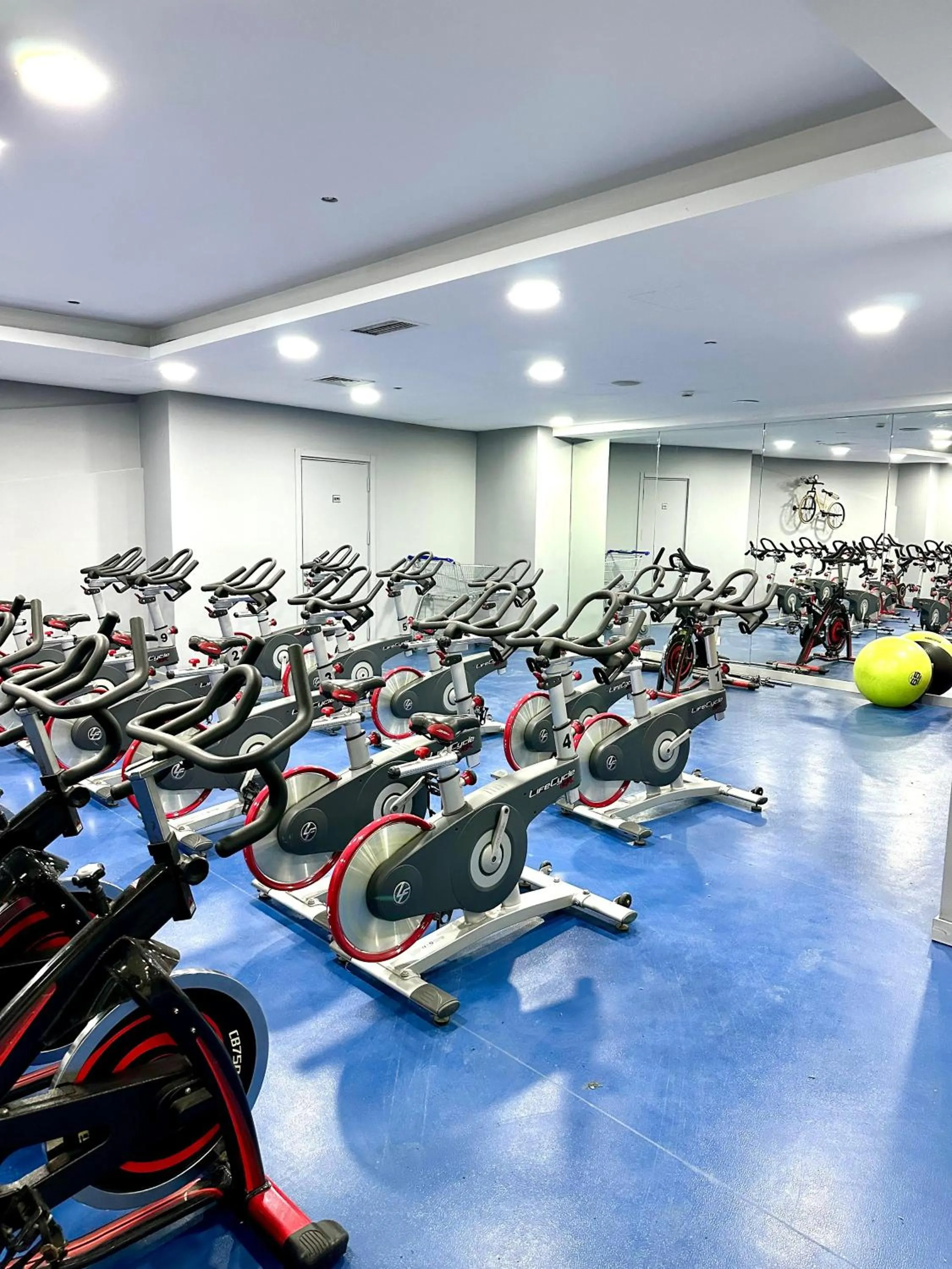 Fitness centre/facilities in Ramada by Wyndham Istanbul Merter