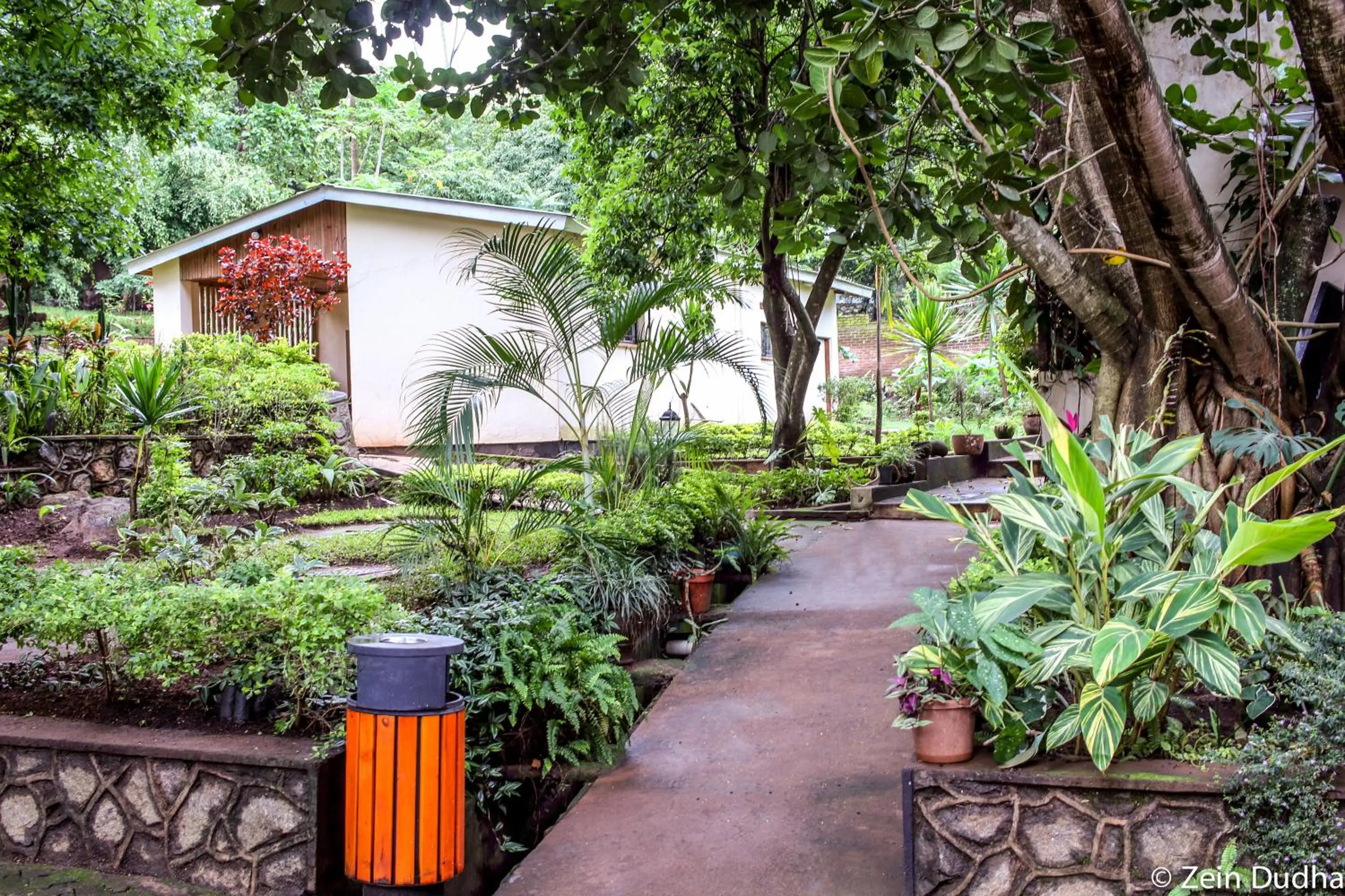 Property building in Villa 33