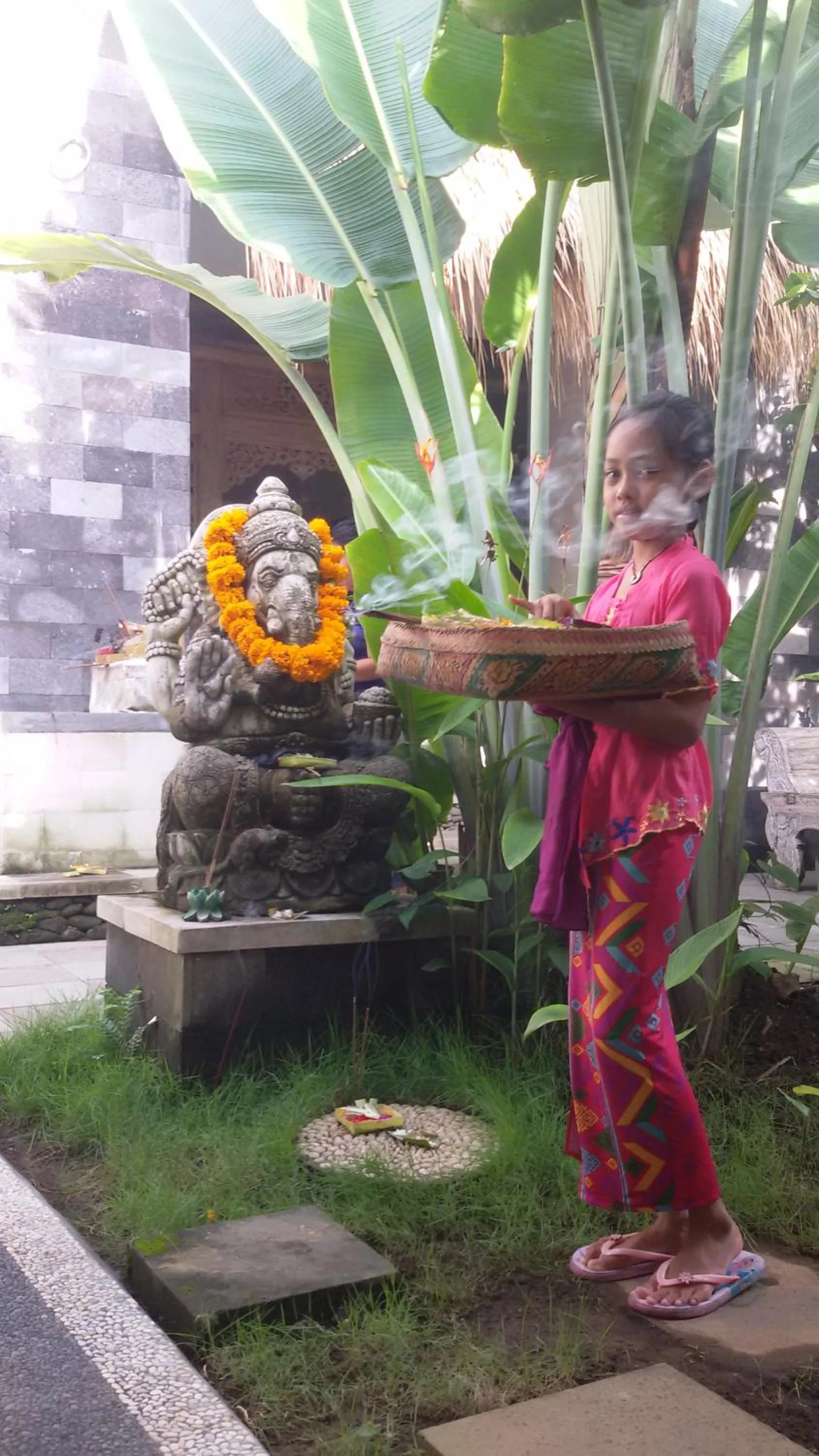 Activities in Blu Mango