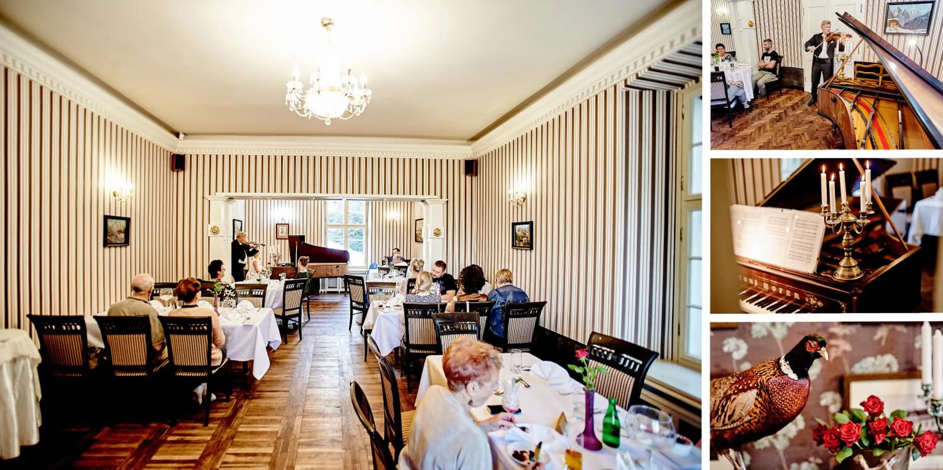 Restaurant/places to eat in Pałac Bażantarnia