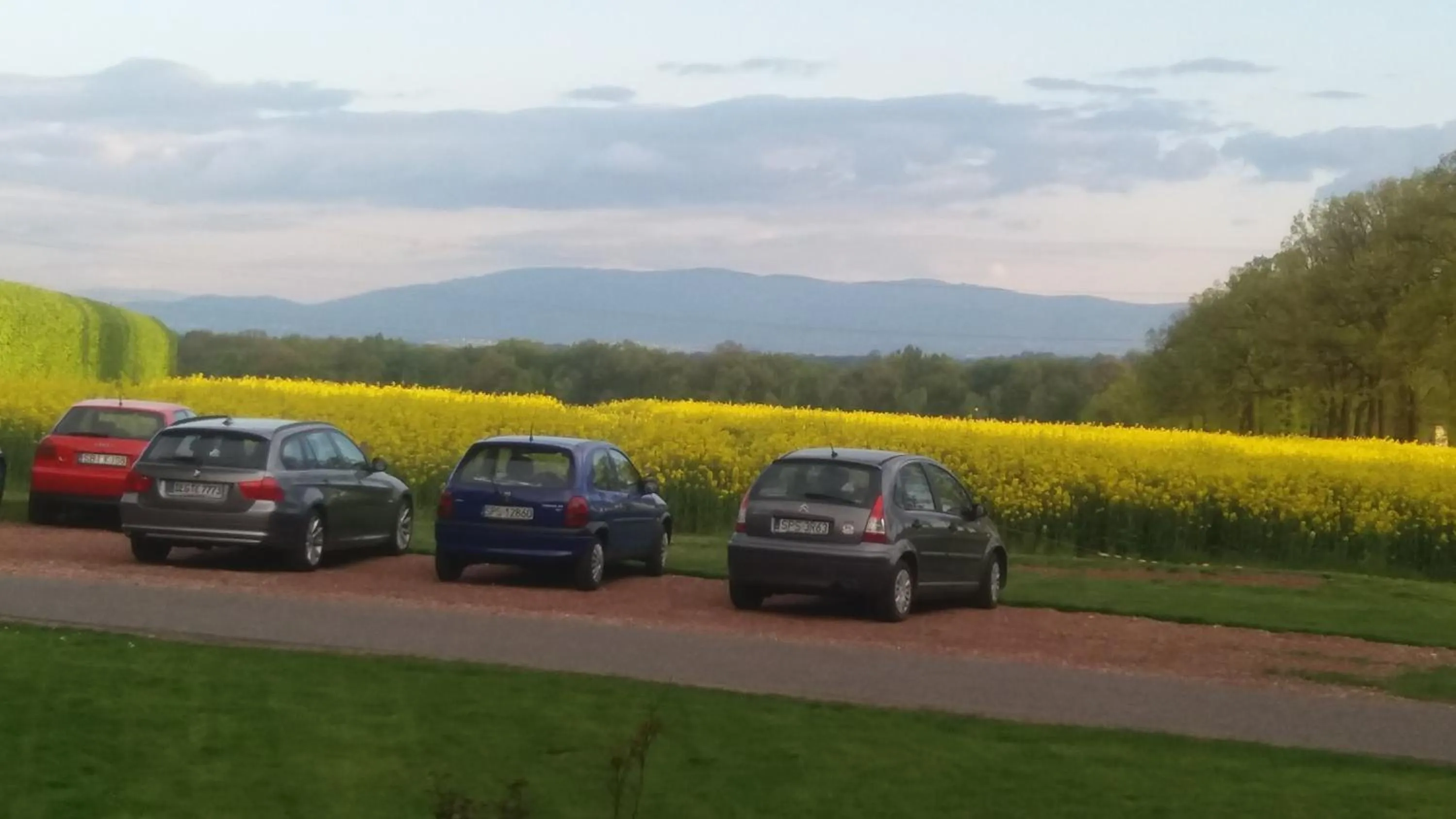 Neighbourhood in Pałac Bażantarnia