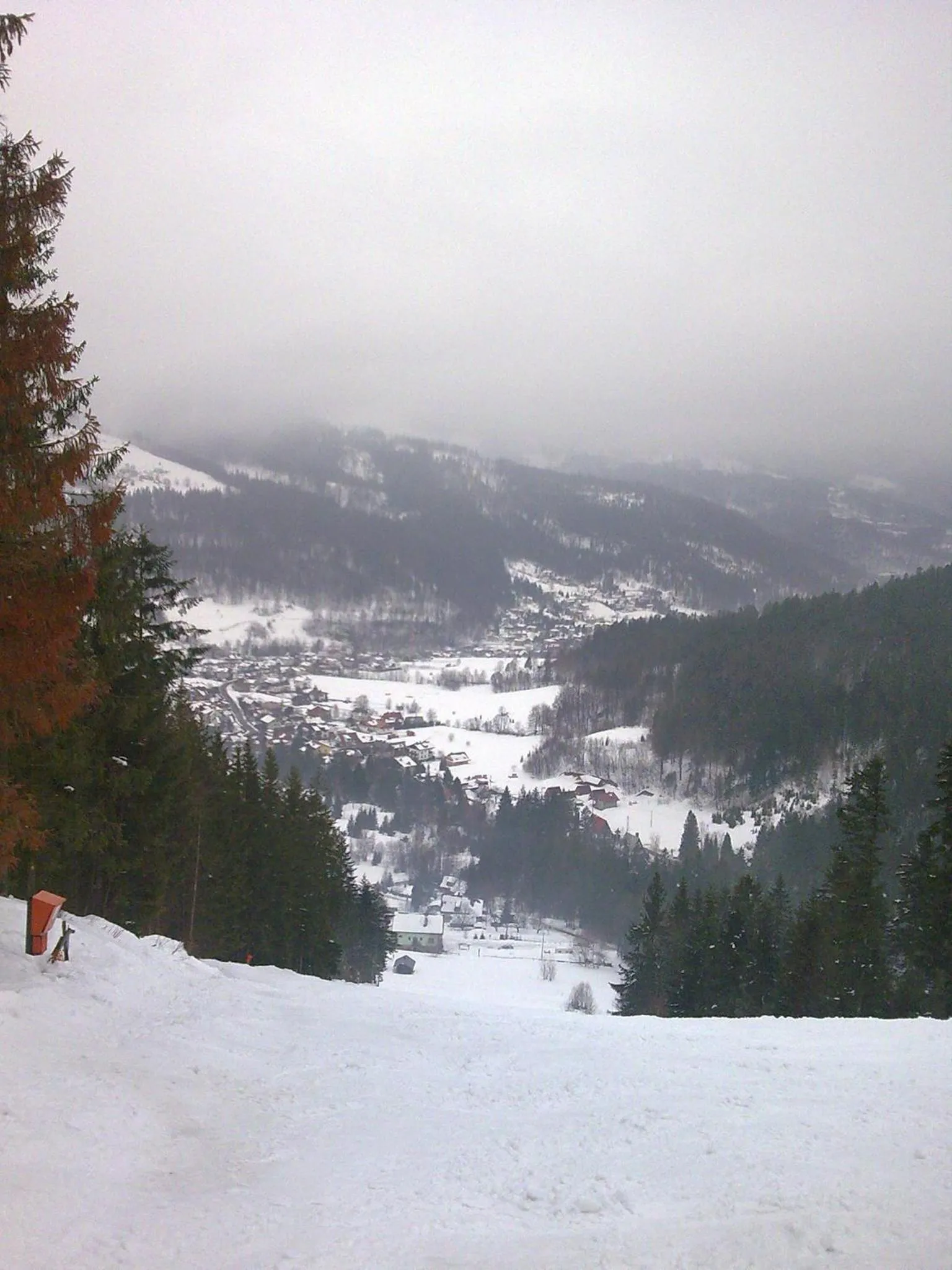 Skiing in Pałac Bażantarnia