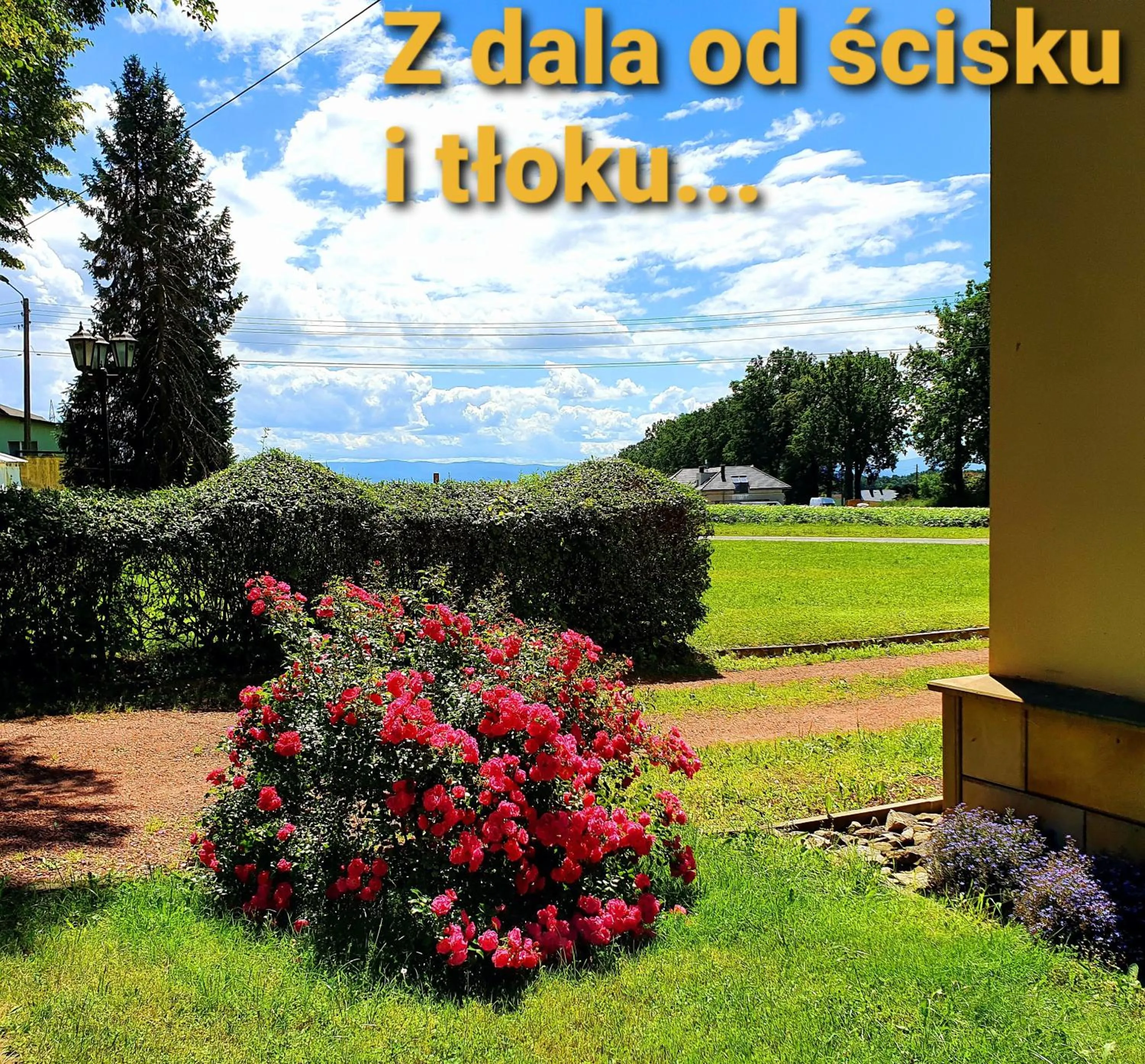 Natural landscape in Pałac Bażantarnia