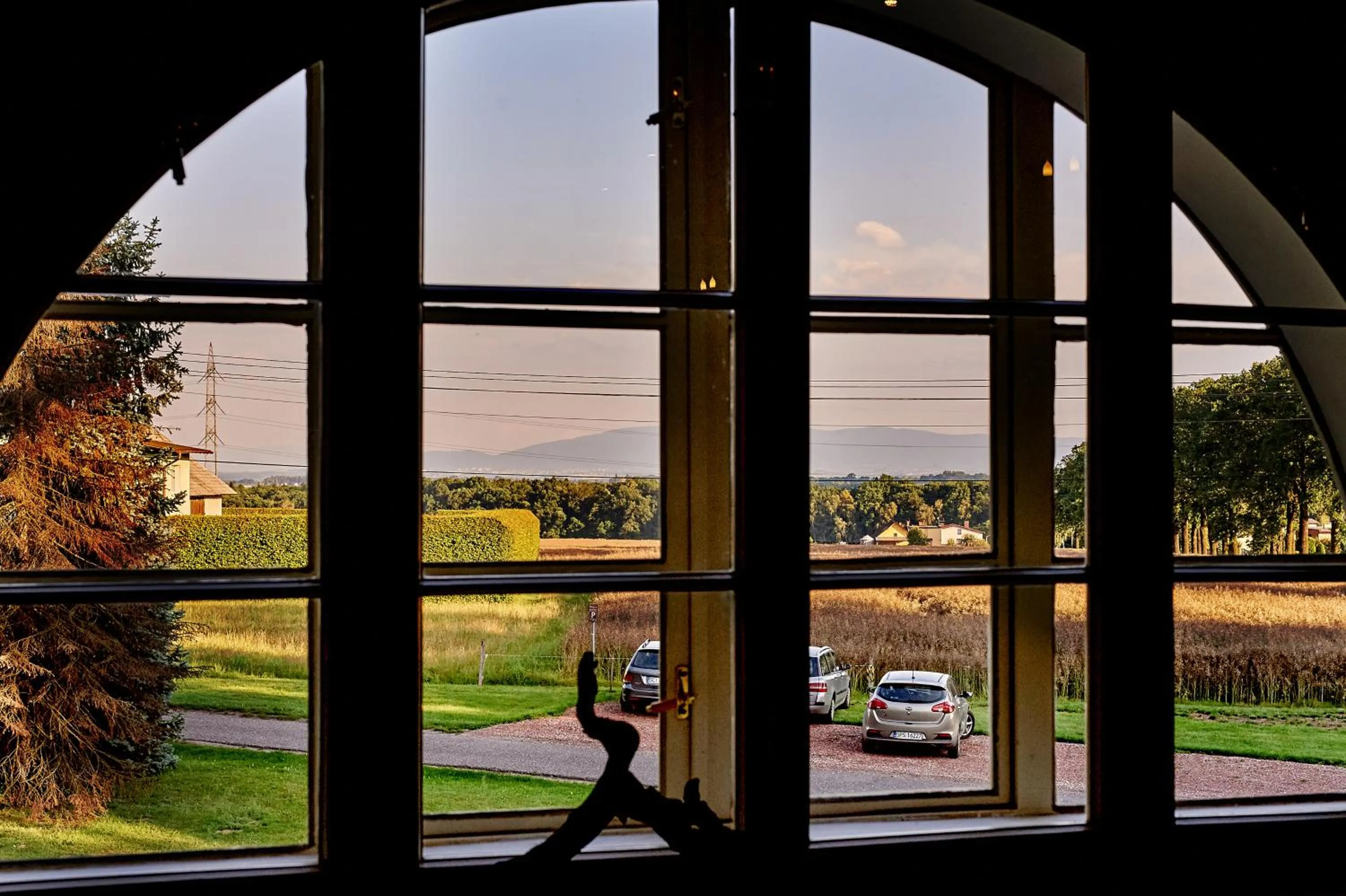 View (from property/room) in Pałac Bażantarnia