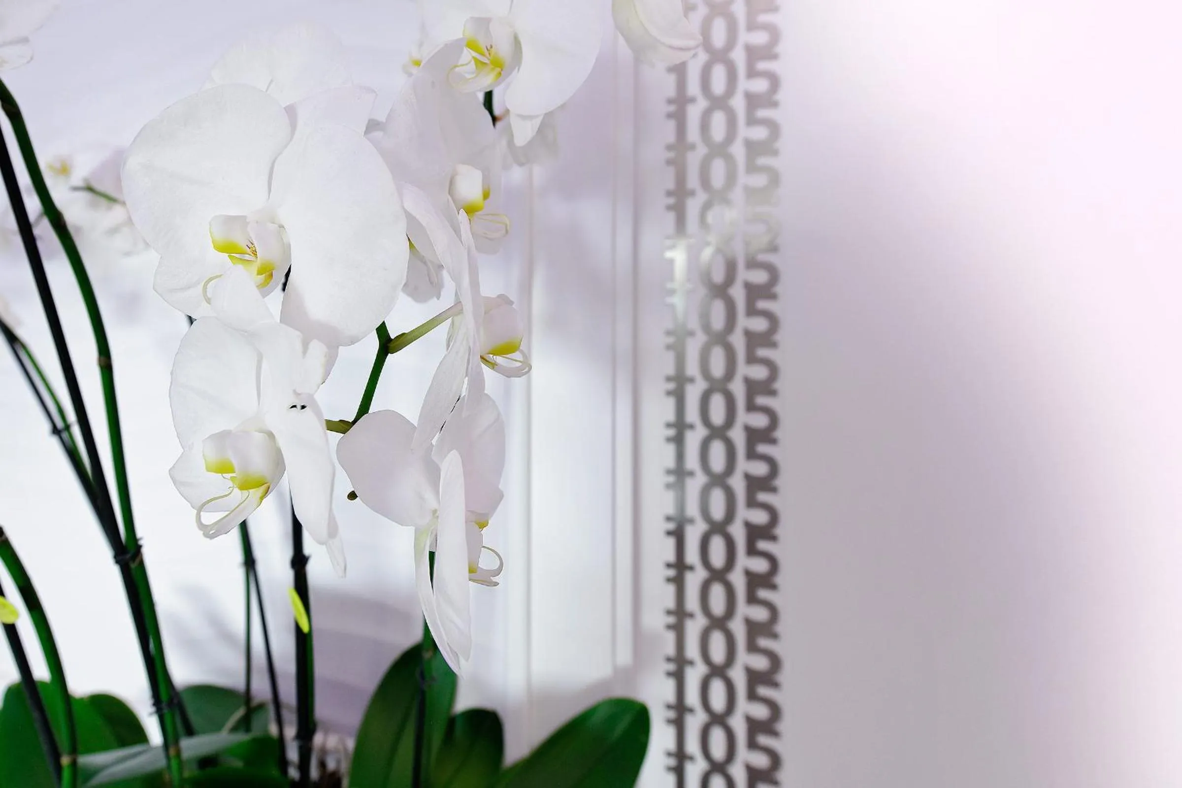 Decorative detail in La Madegra Seasuite