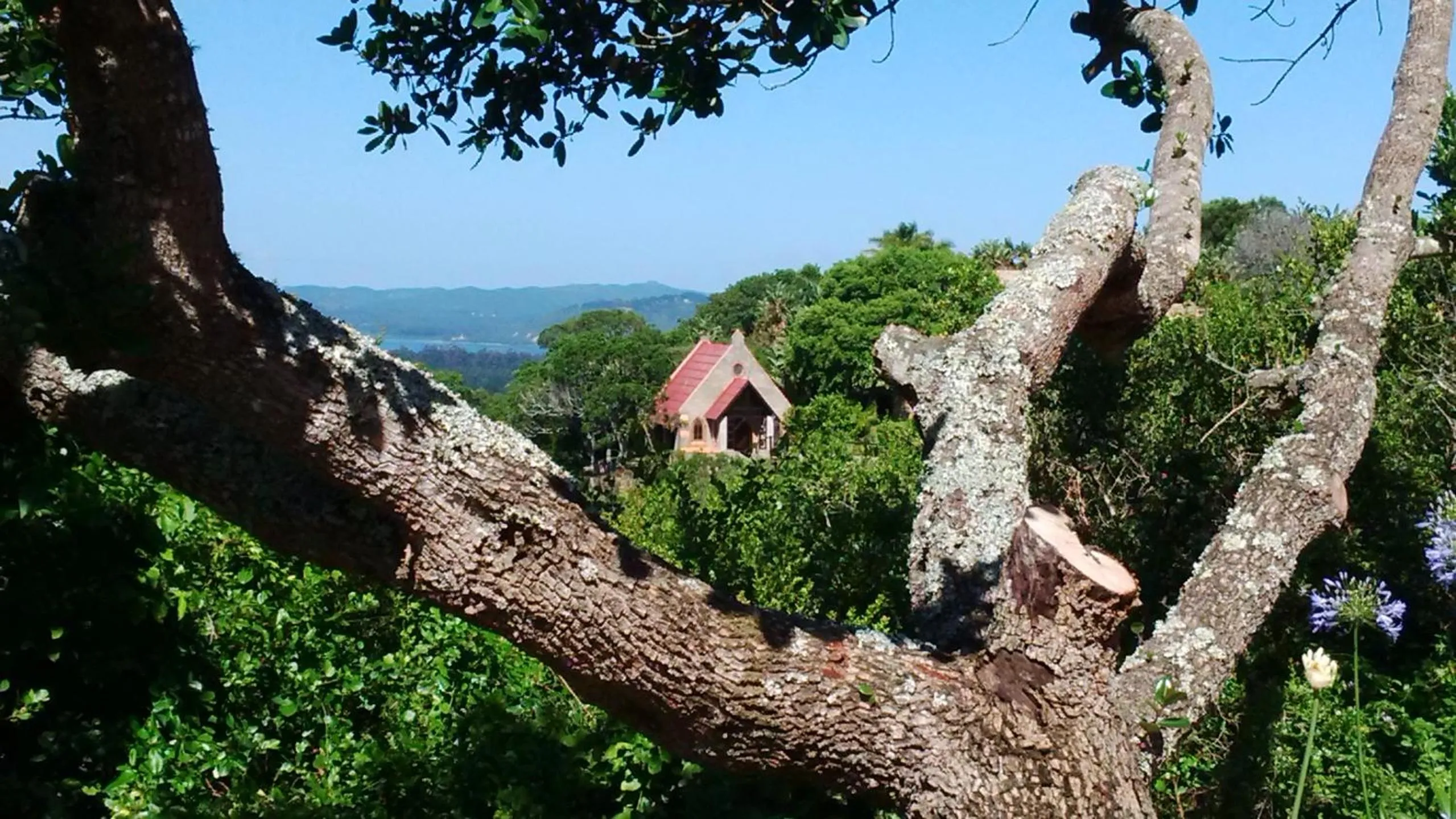 Natural landscape in Eagles Nest