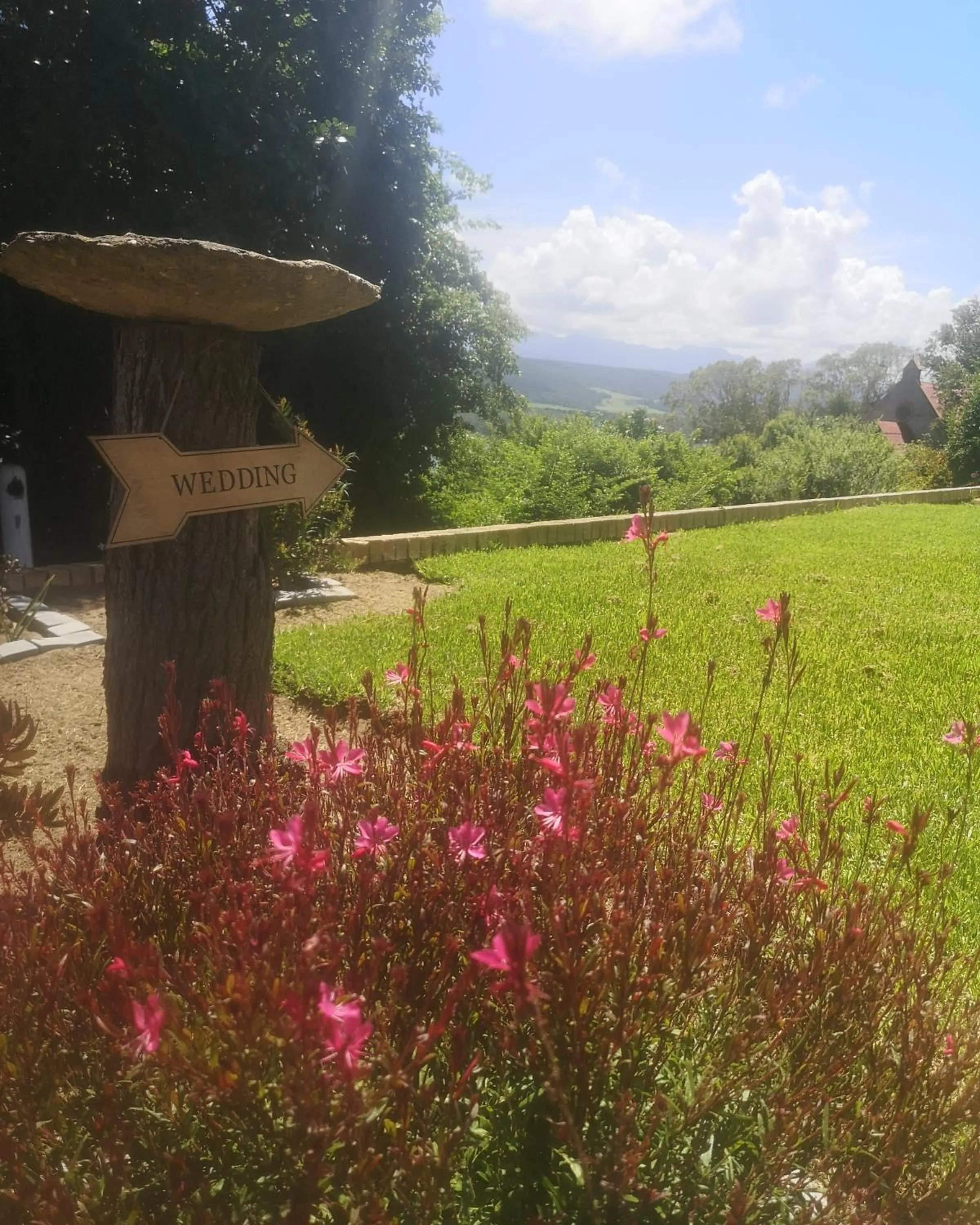 Natural landscape in Eagles Nest