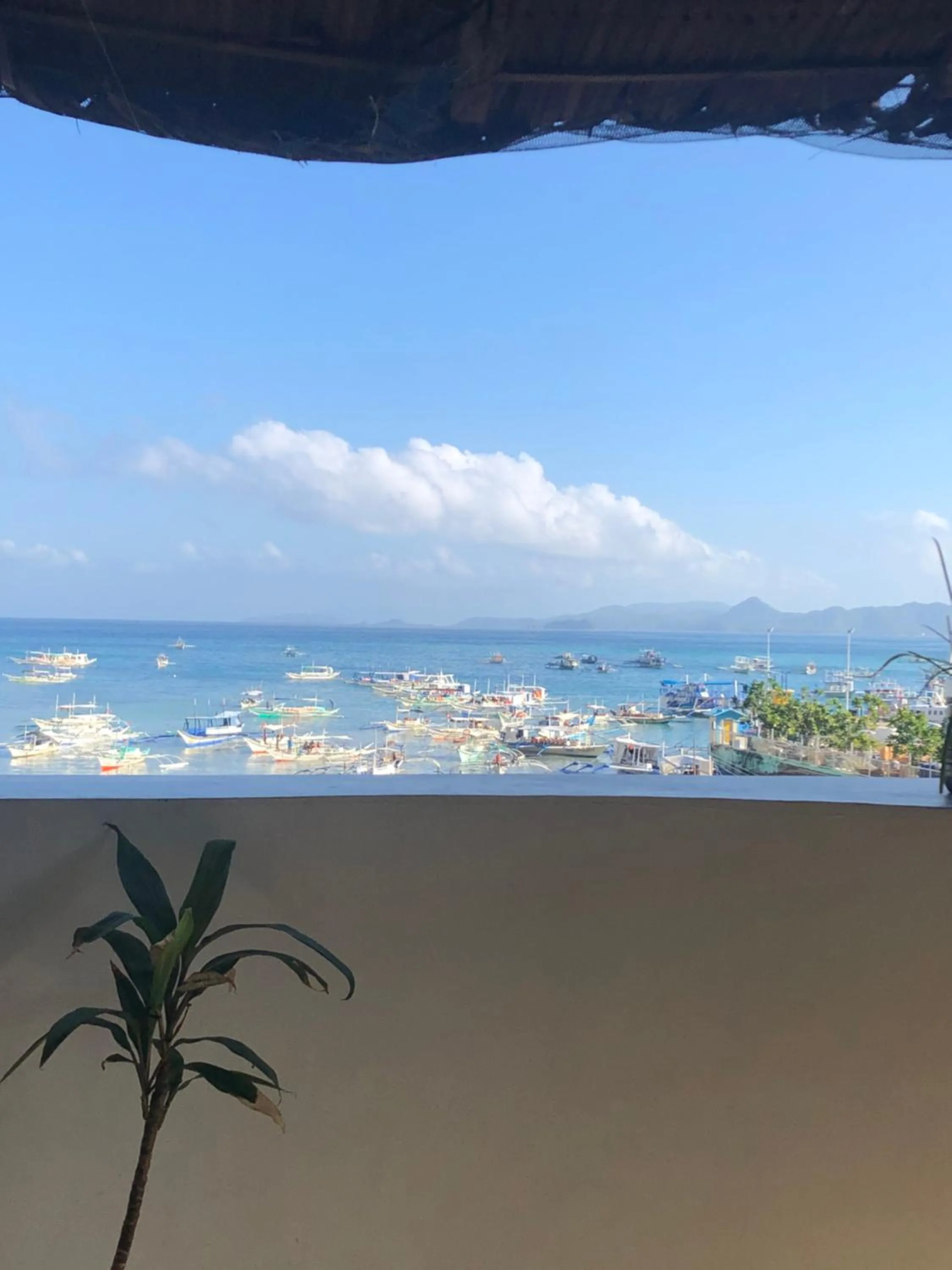 Day in Amadeus and Isabel Inn