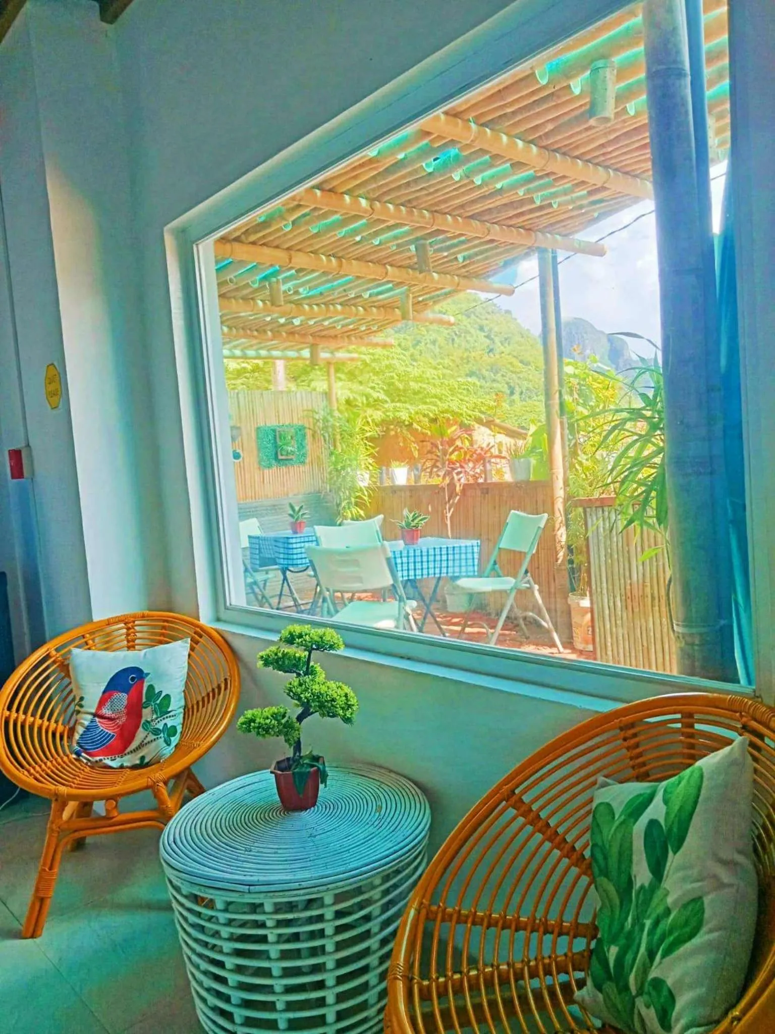 Garden in Amadeus and Isabel Inn