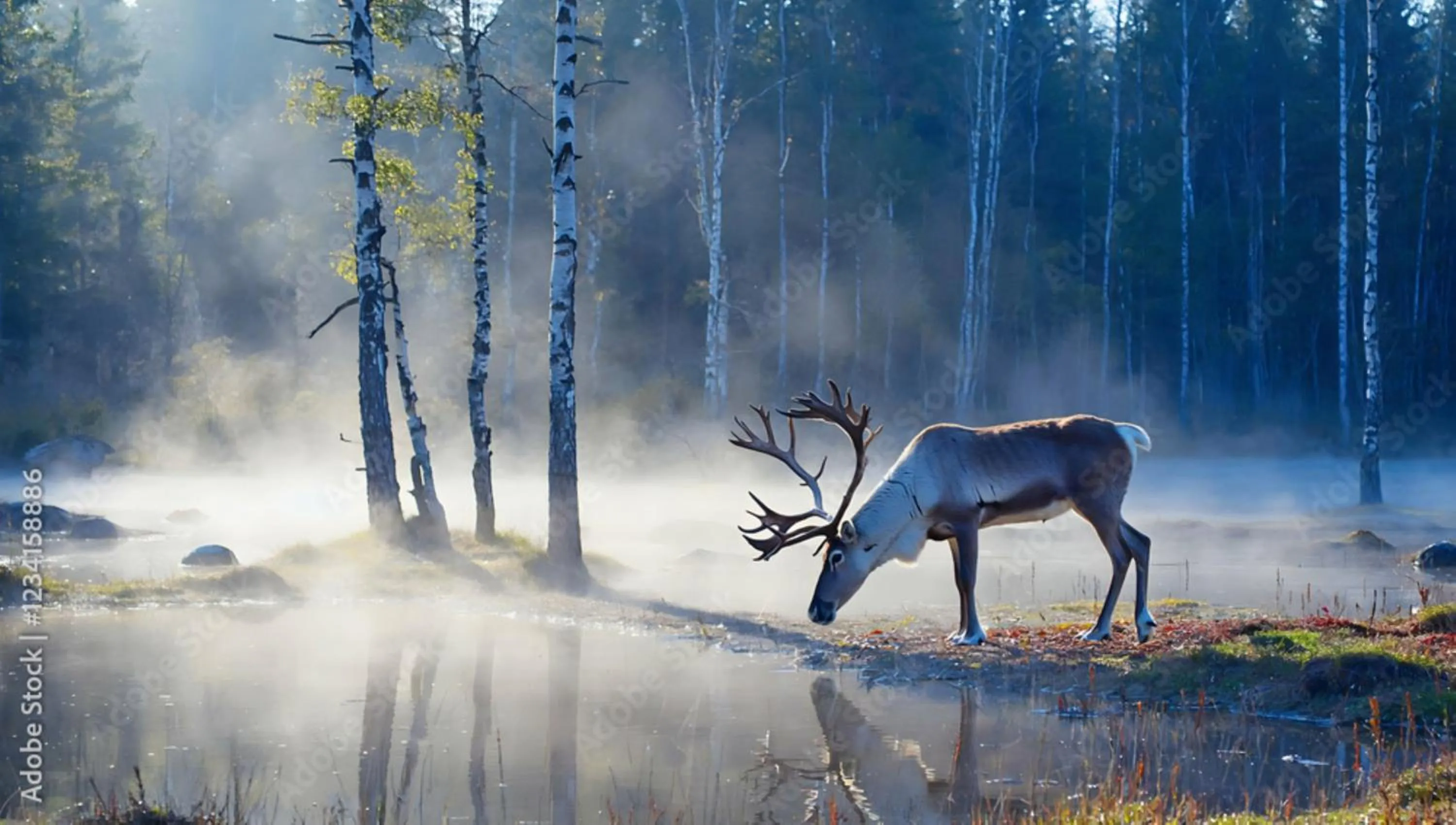 Nearby landmark in Hotel Indigo North Conway by IHG