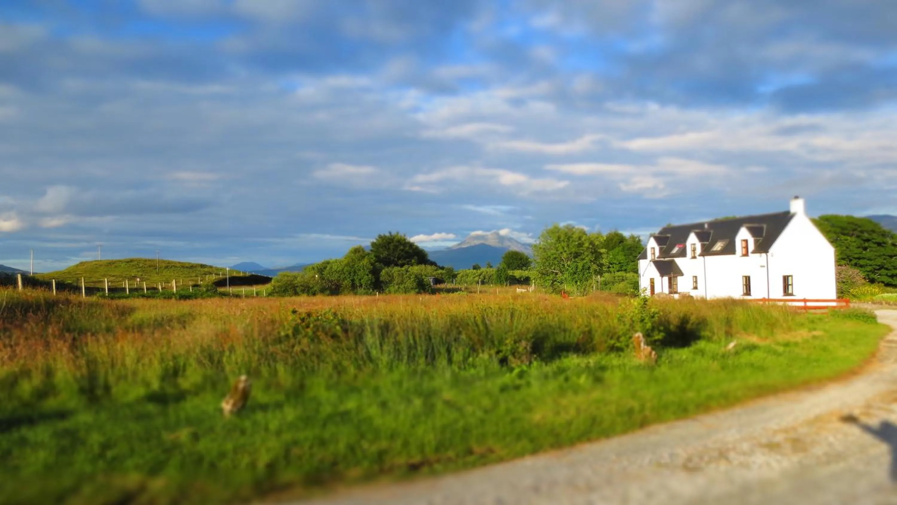 Garden in Off The Hill B&B