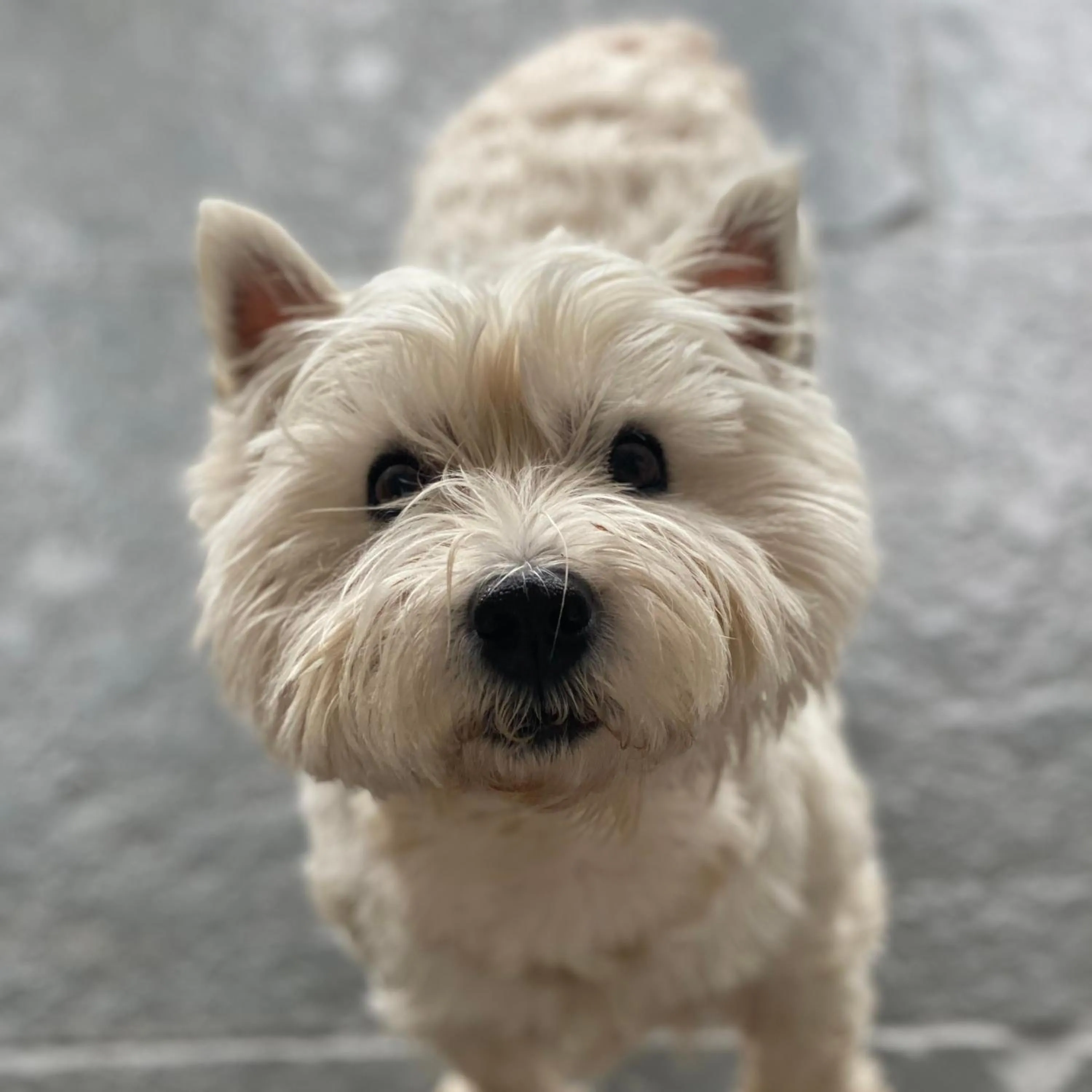 Property building in Off The Hill B&B