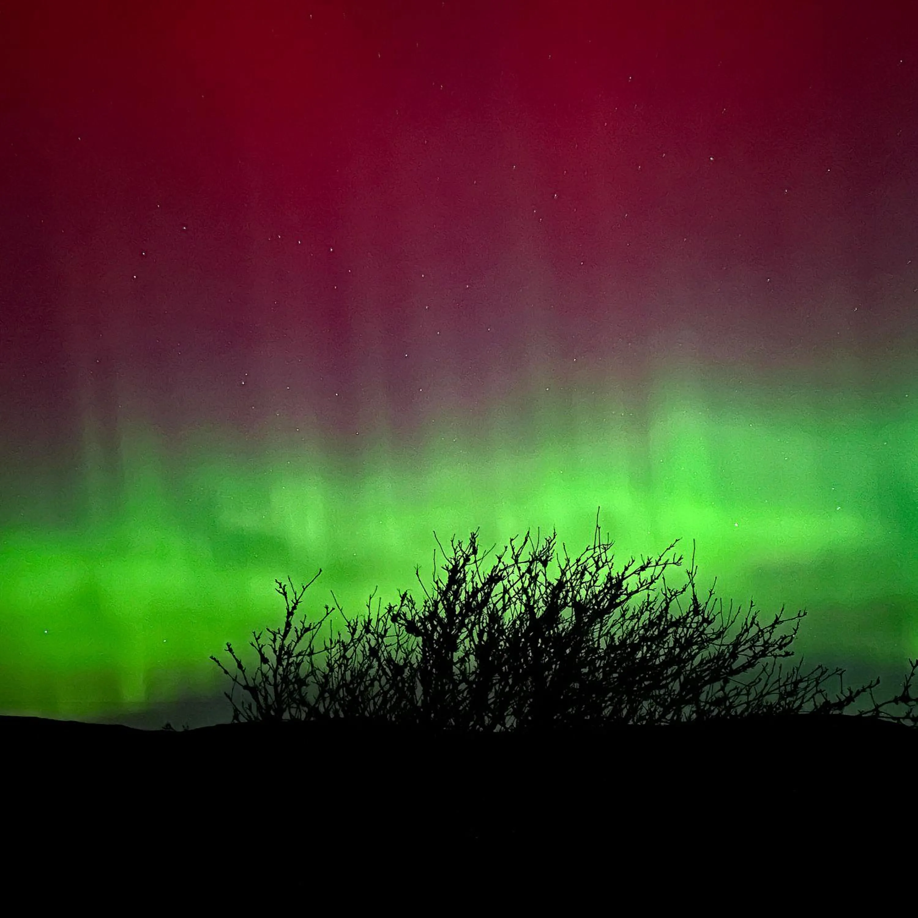 Property building in Off The Hill B&B