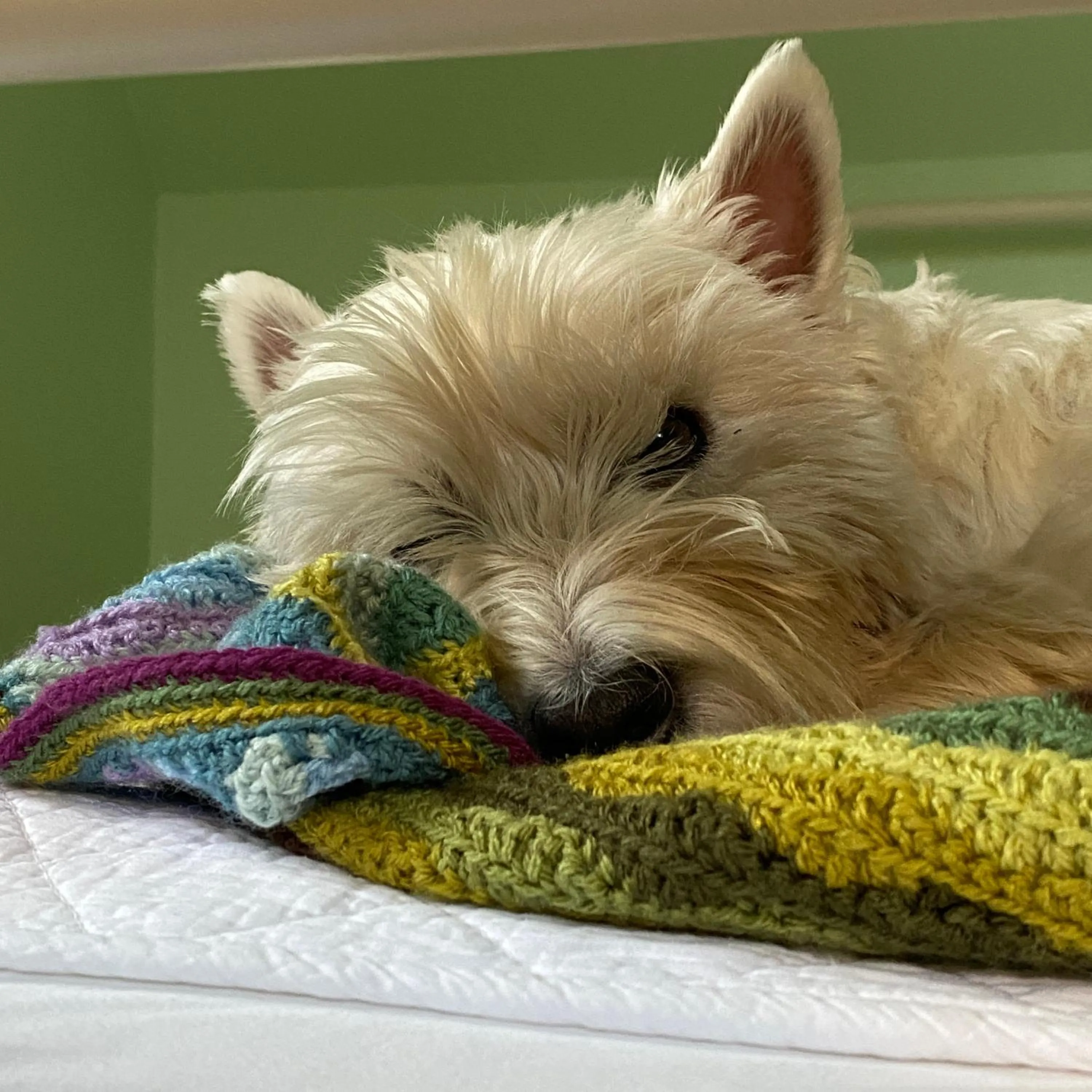 Property building in Off The Hill B&B