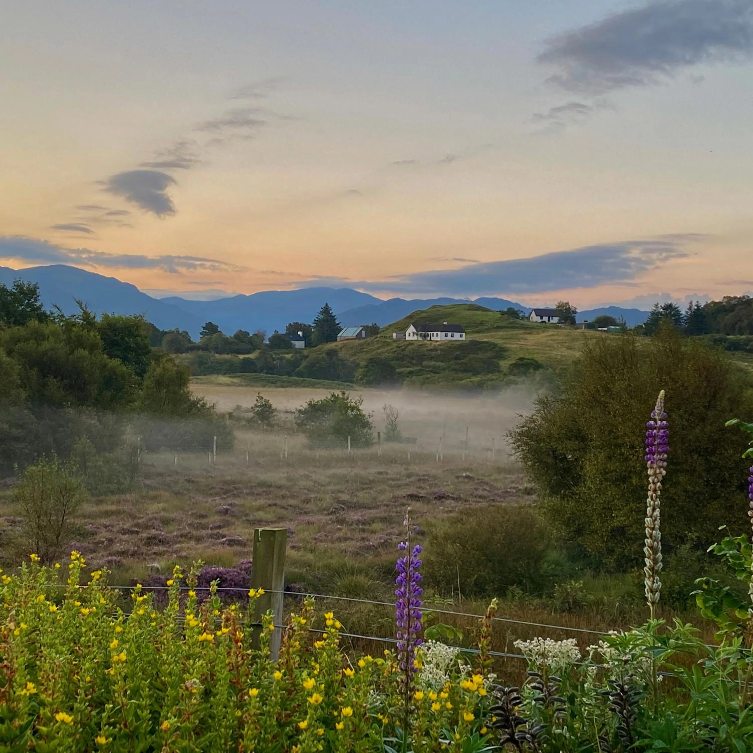 Property building in Off The Hill B&B