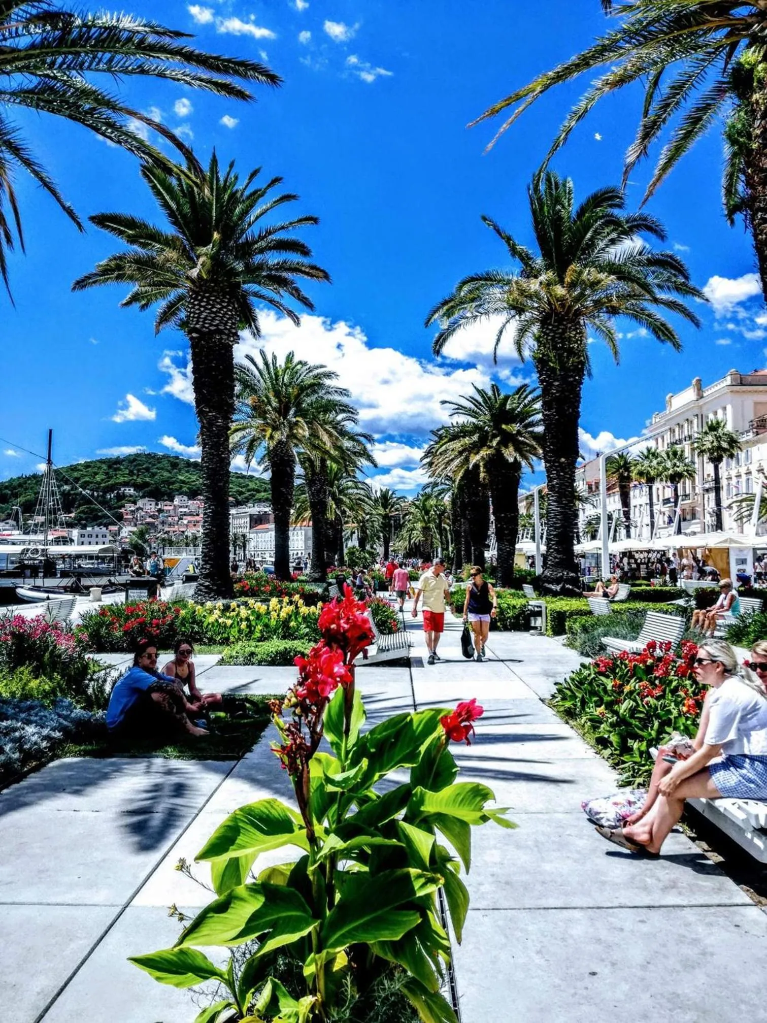 Other in Pylon Rooms