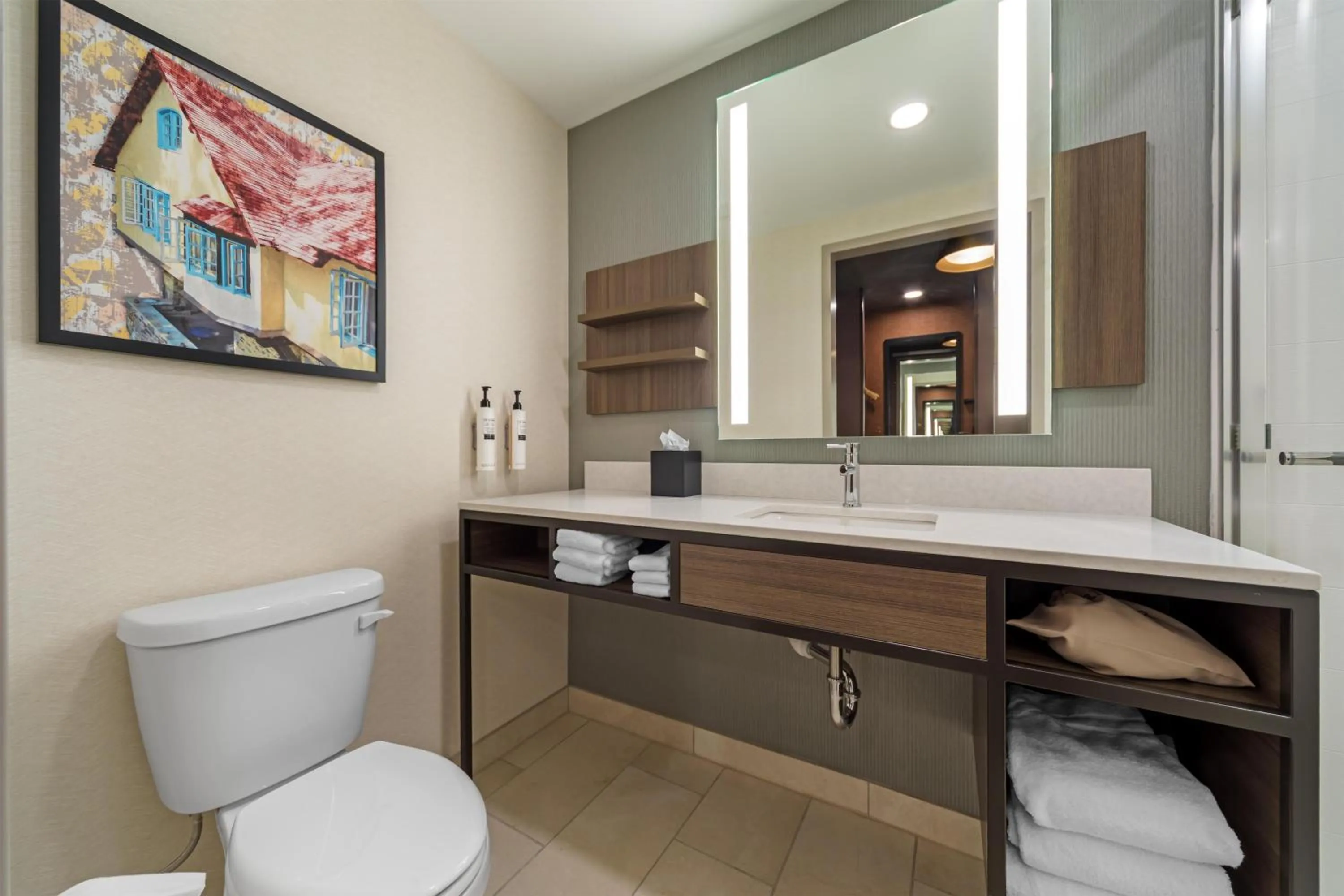 Bathroom in Hilton Garden Inn Media