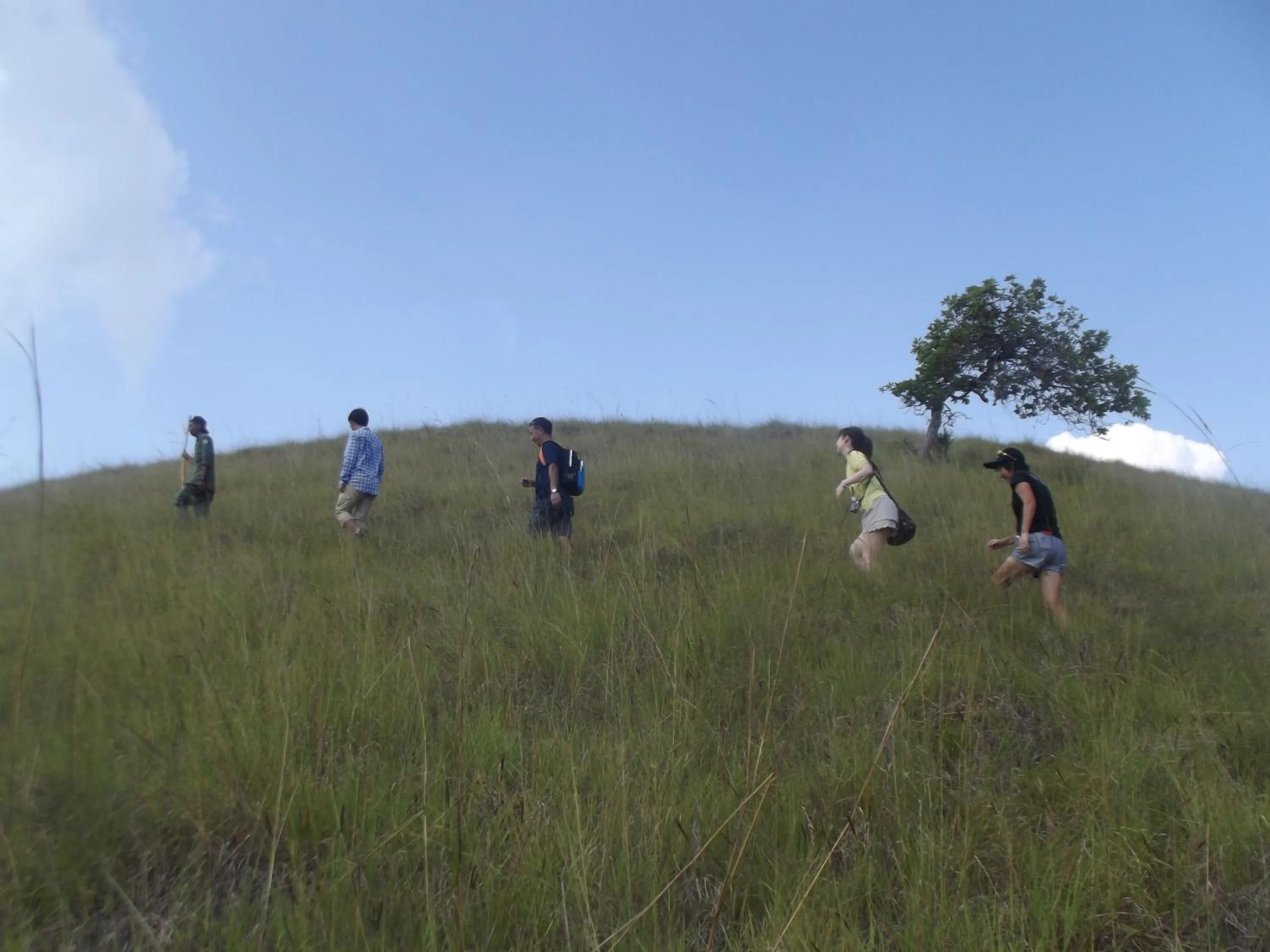 Hiking in Komodo Boutique Hotel