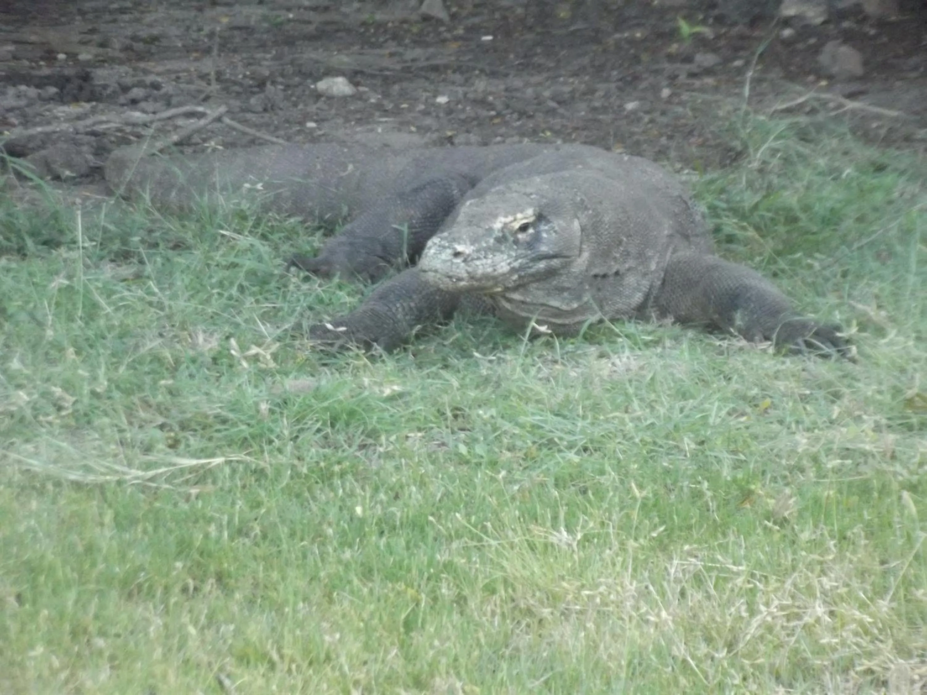 Other in Komodo Boutique Hotel
