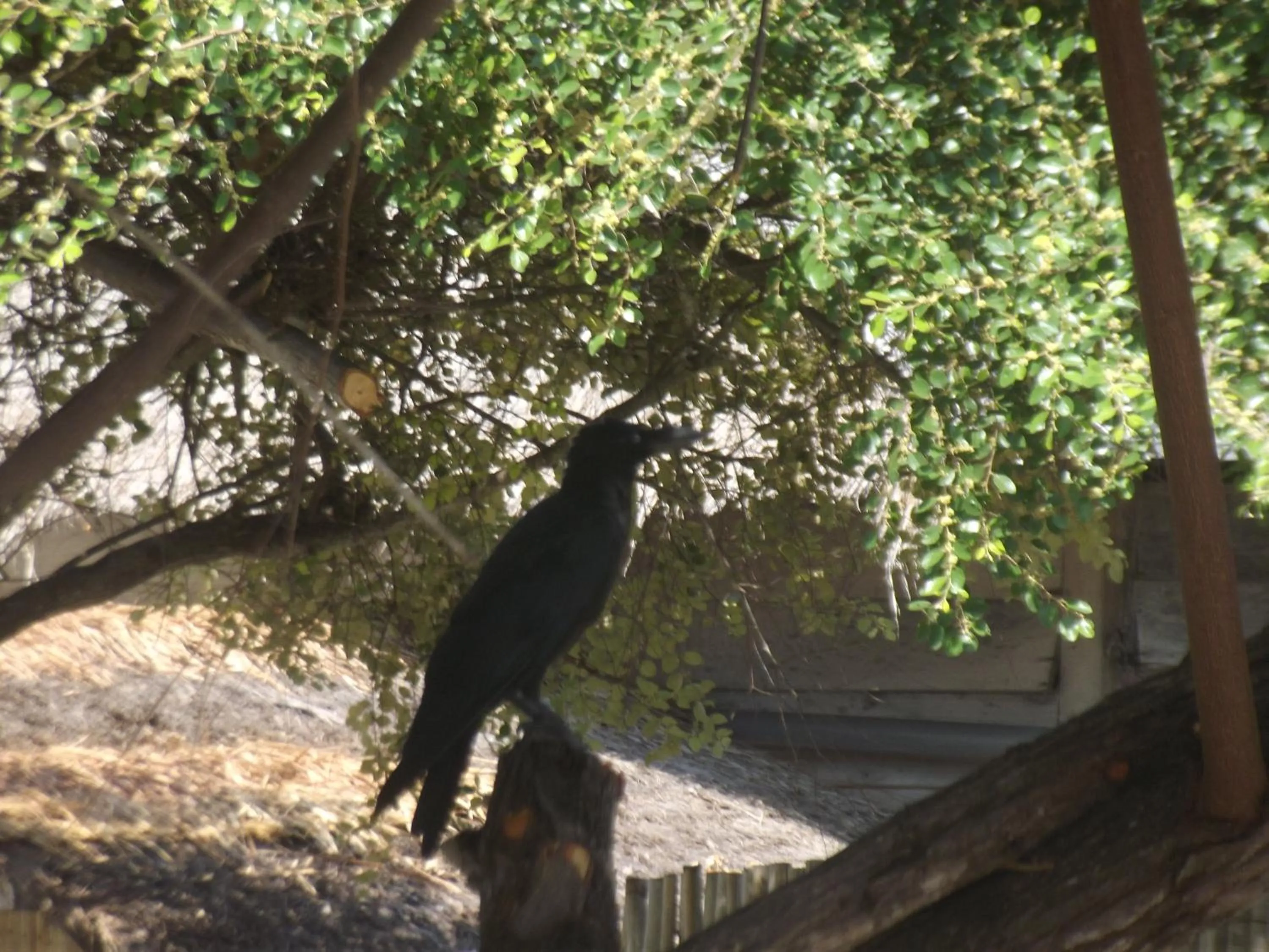Hiking in Komodo Boutique Hotel
