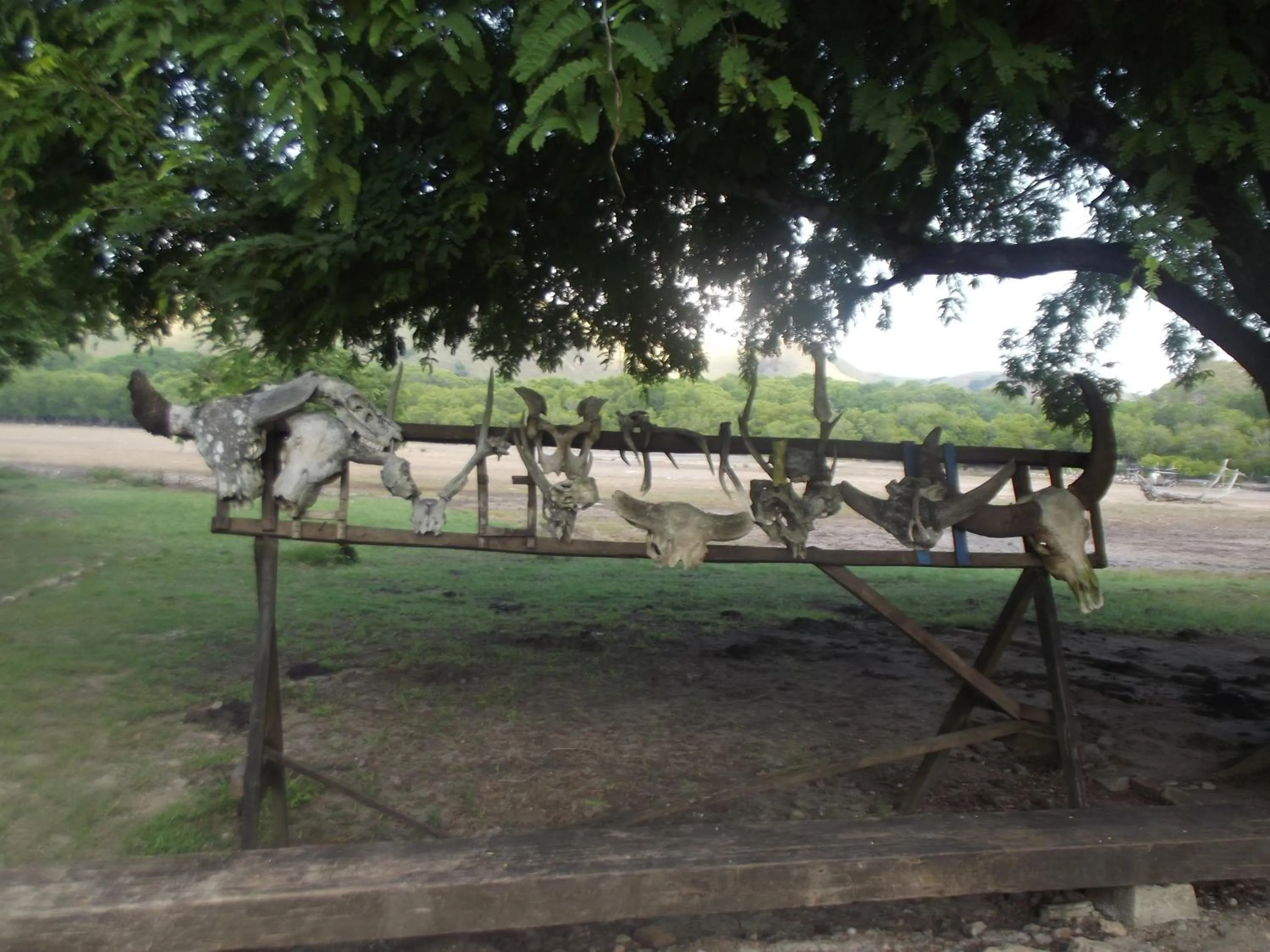 Day in Komodo Boutique Hotel