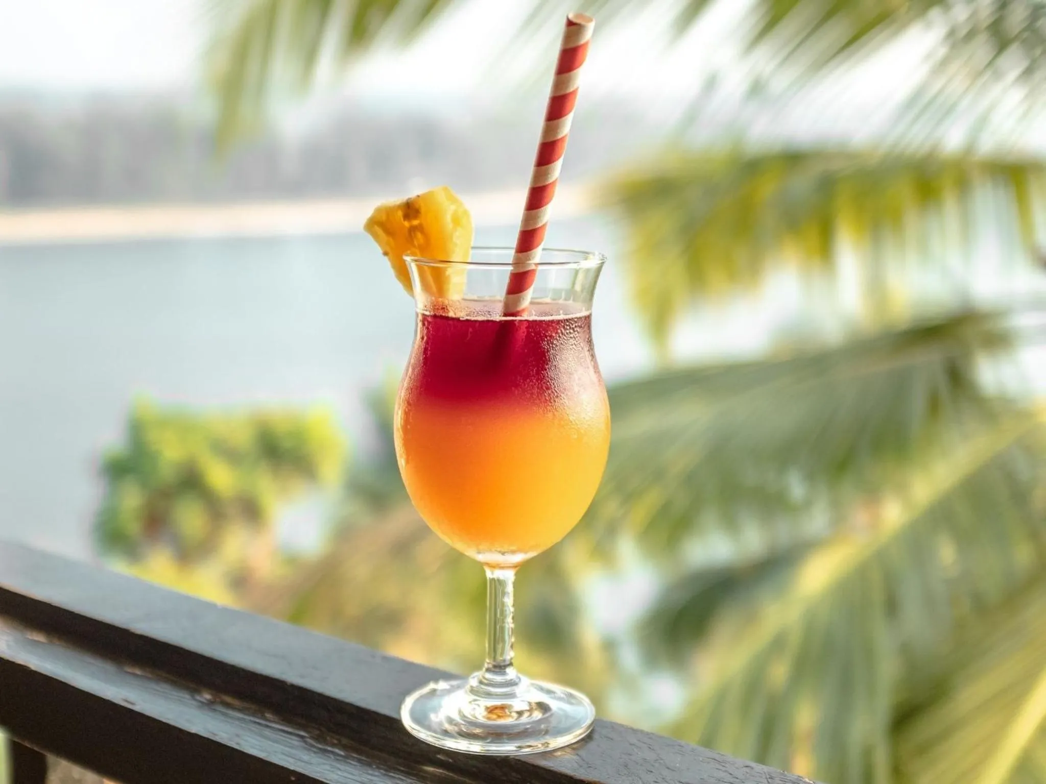 Drinks in Fort Tiracol Goa