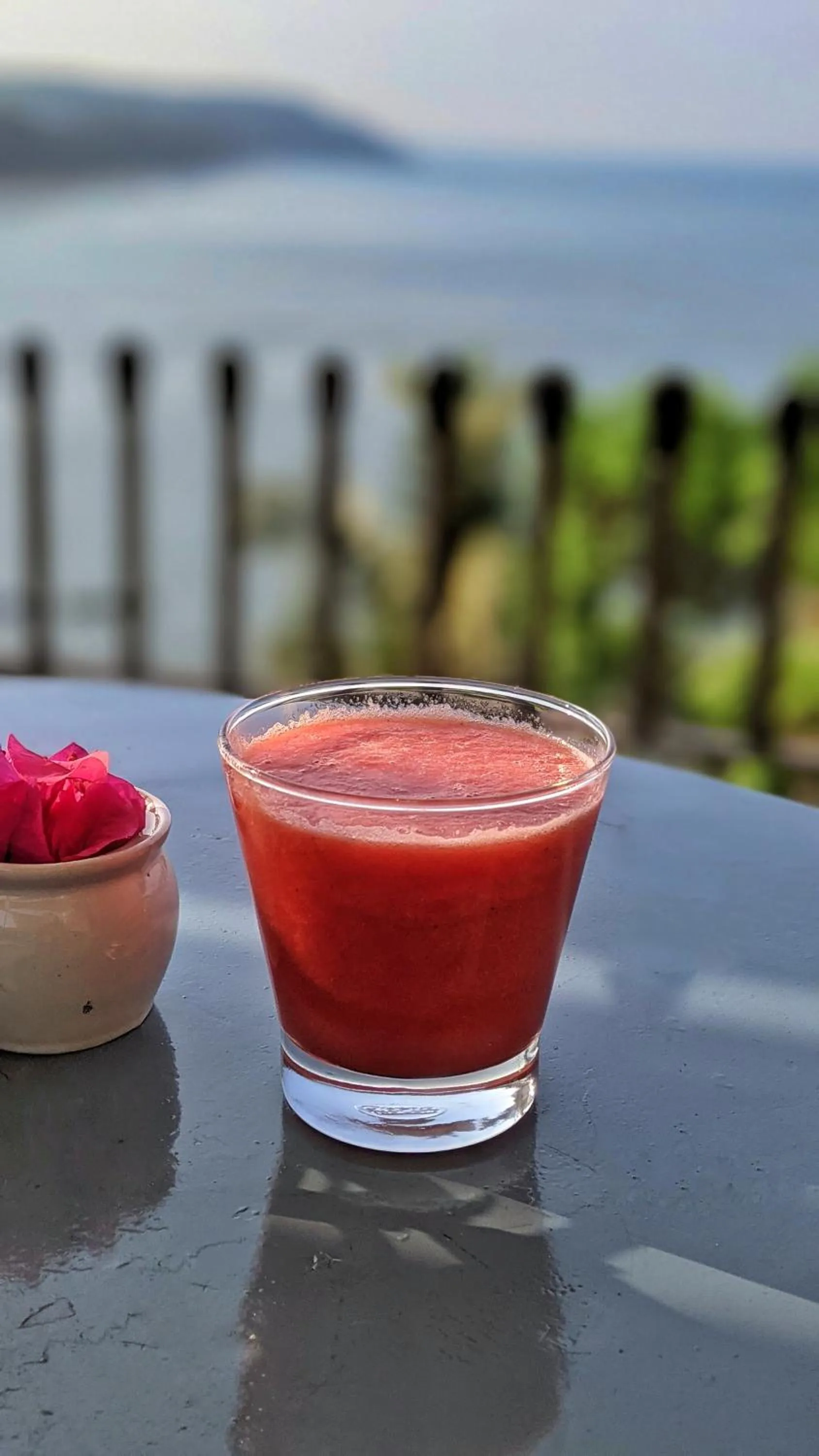 Food and drinks in Fort Tiracol Goa