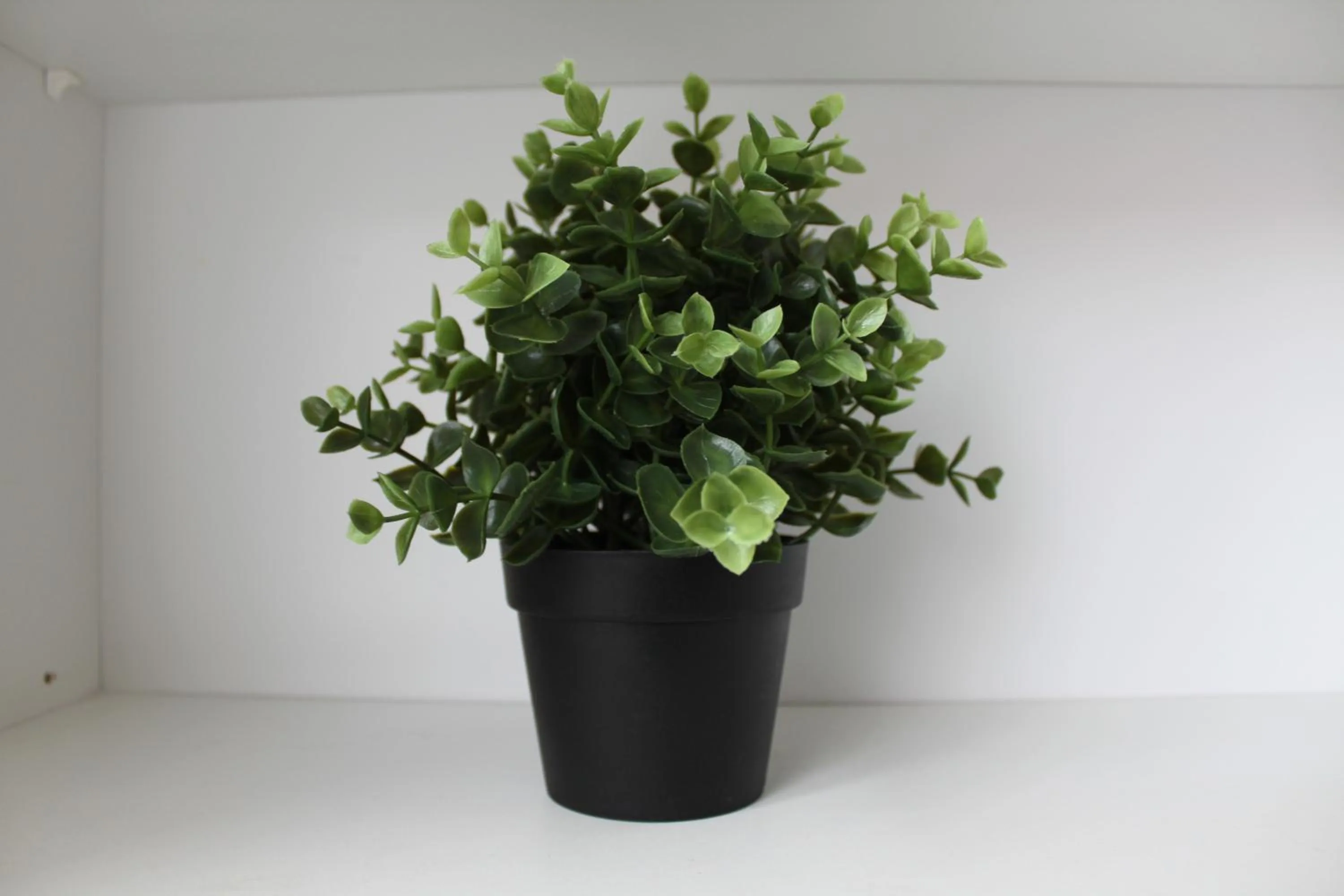 Decorative detail in Lindarbrekka