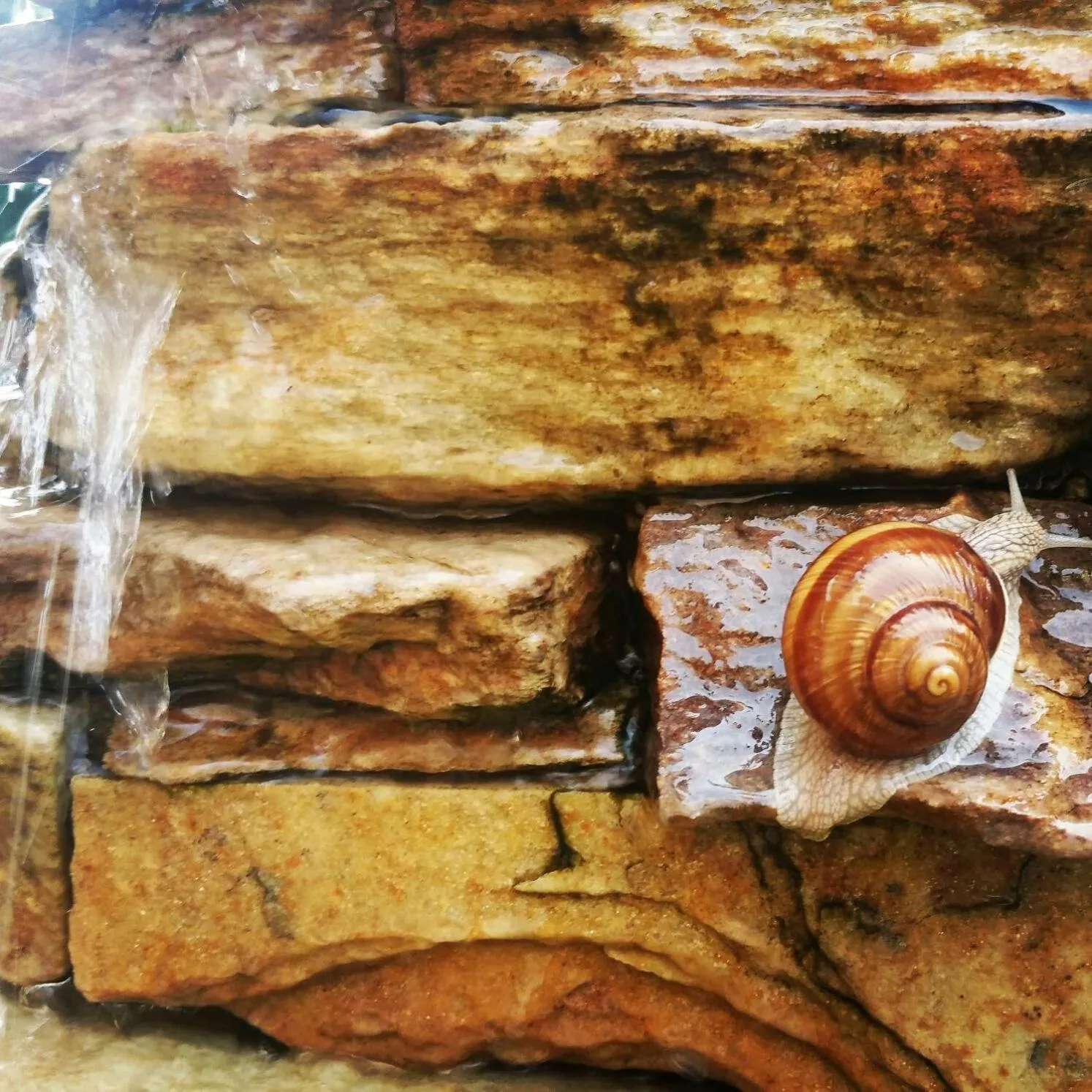 Day in Pensiunea Nimbus