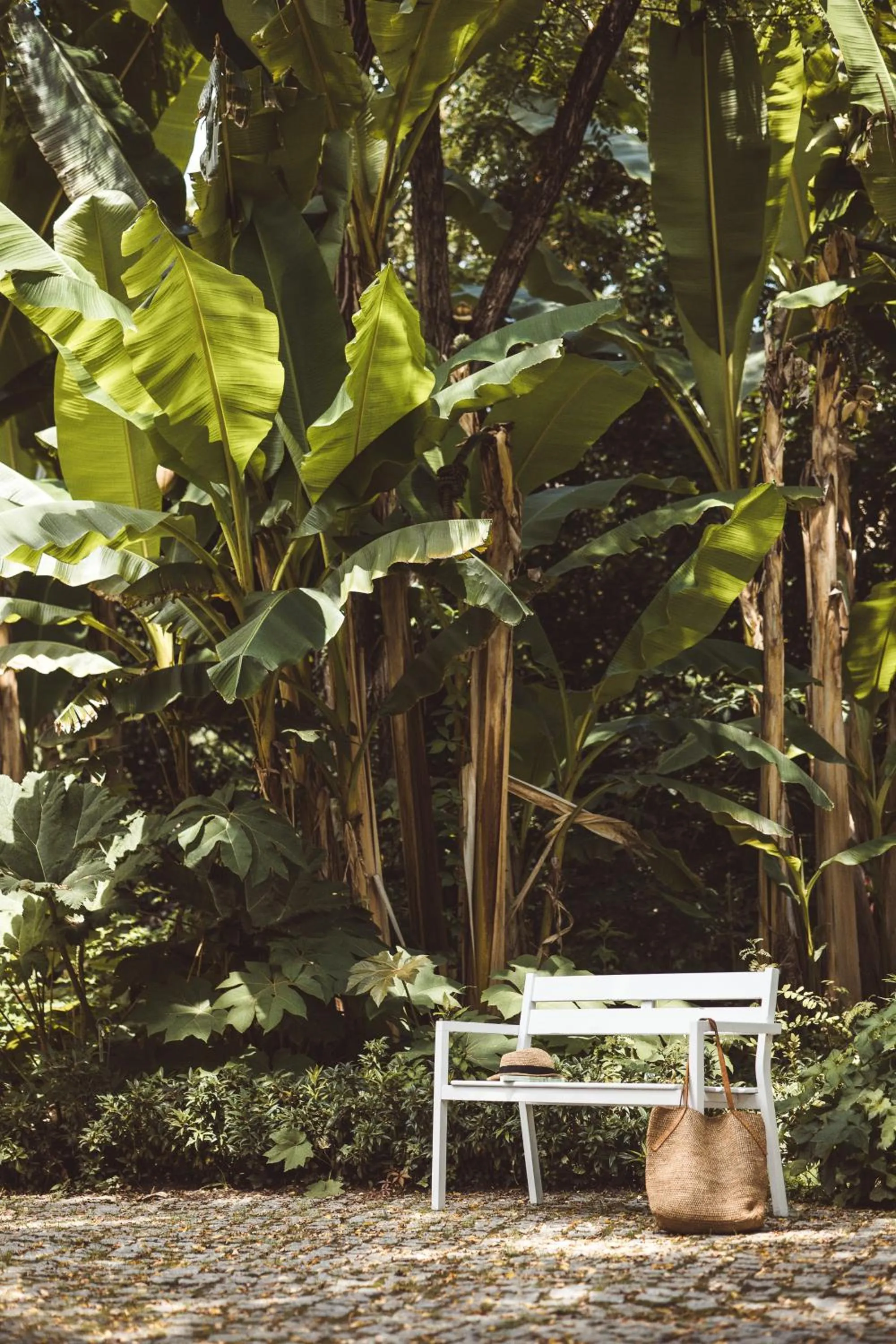 Garden in Villa Mirasol