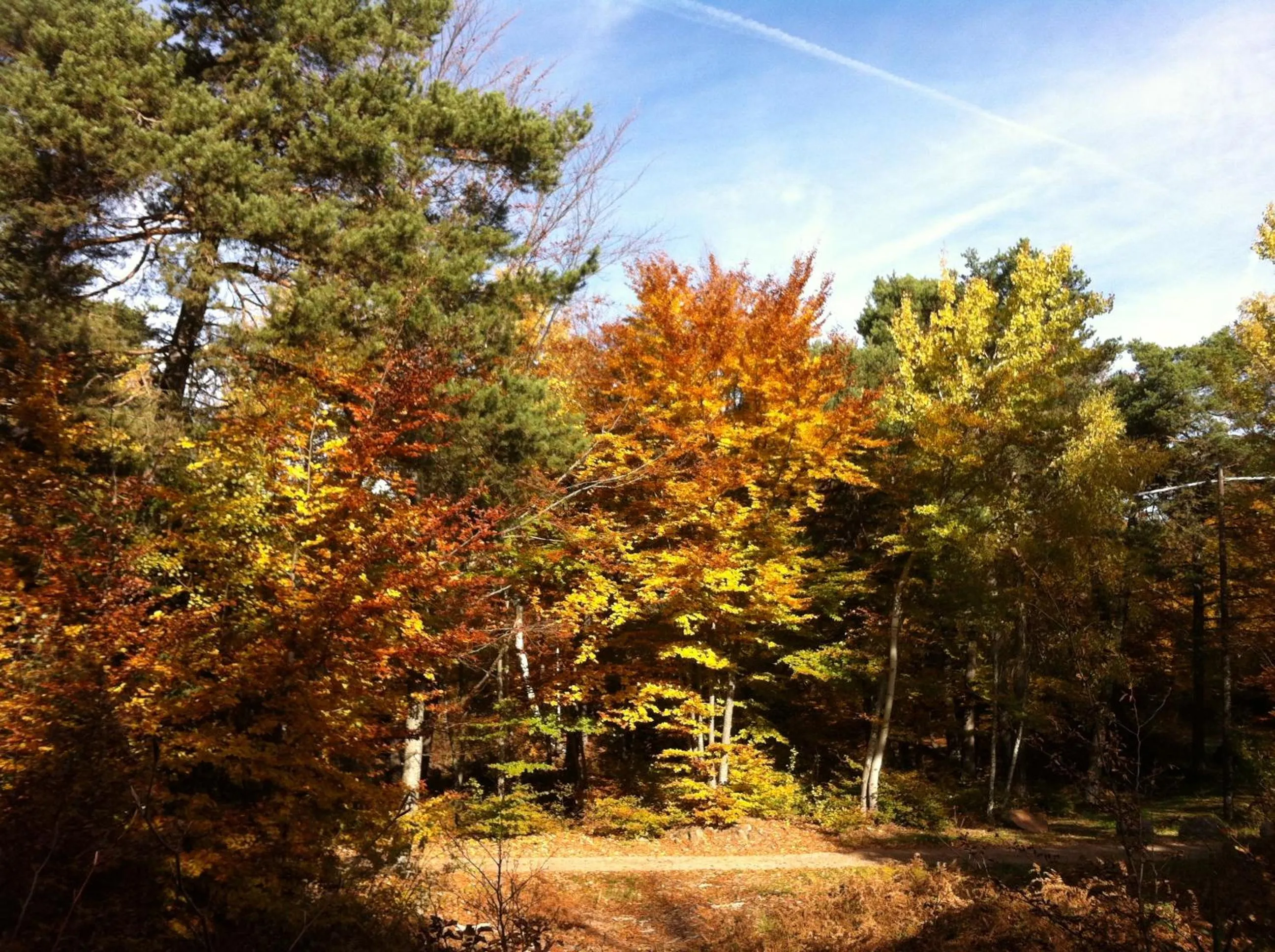 Natural landscape in Nenez B&B