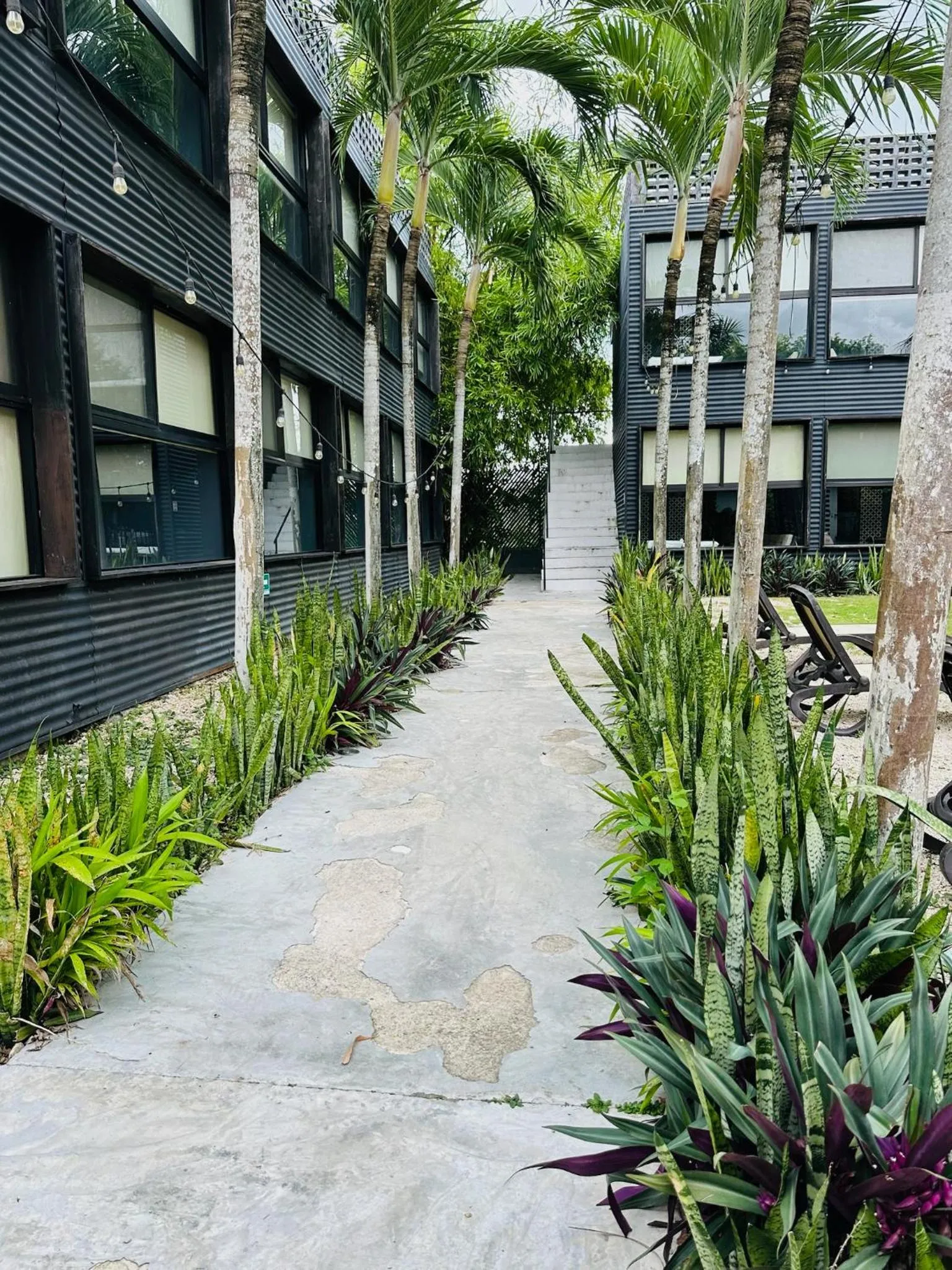 Property building in Bacalar 102 Hotel