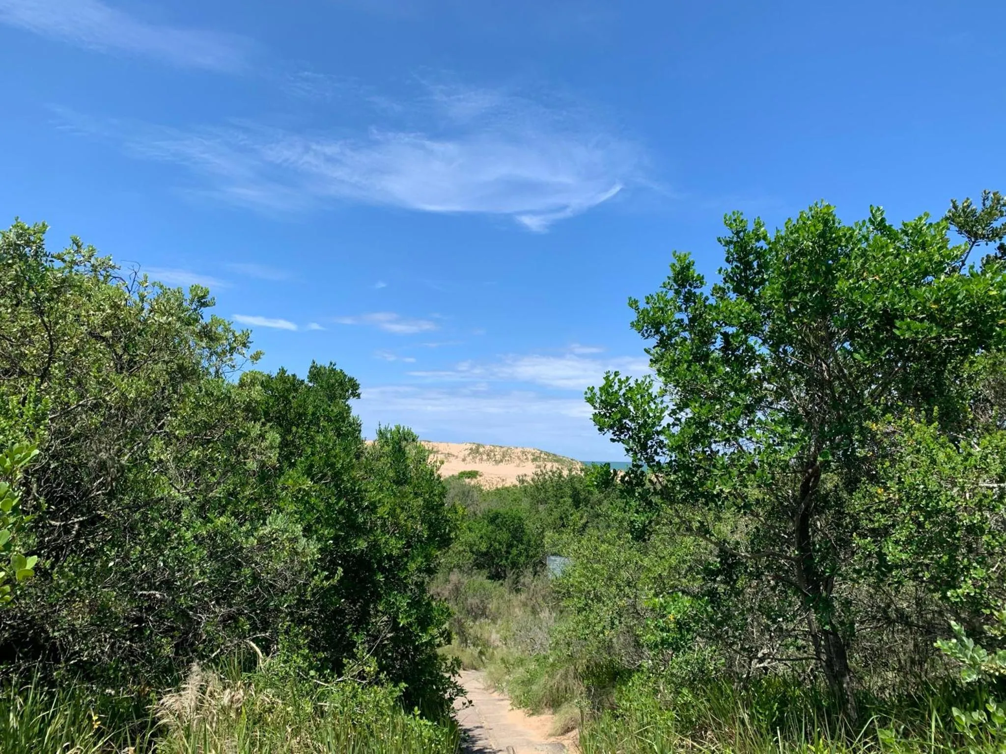 Beach in Mtunzini Forest Lodge Self Catering Resort