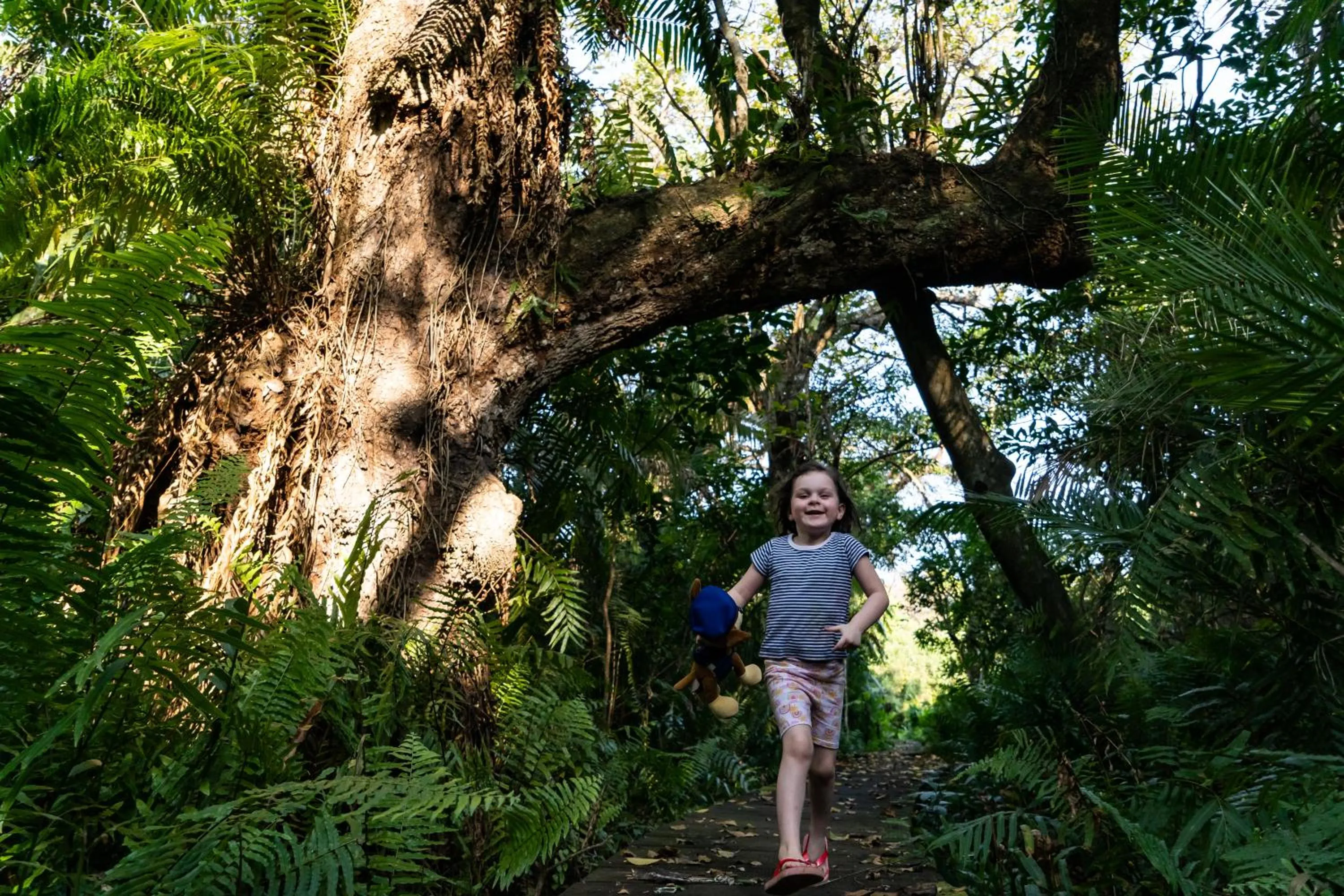 People in Mtunzini Forest Lodge Self Catering Resort