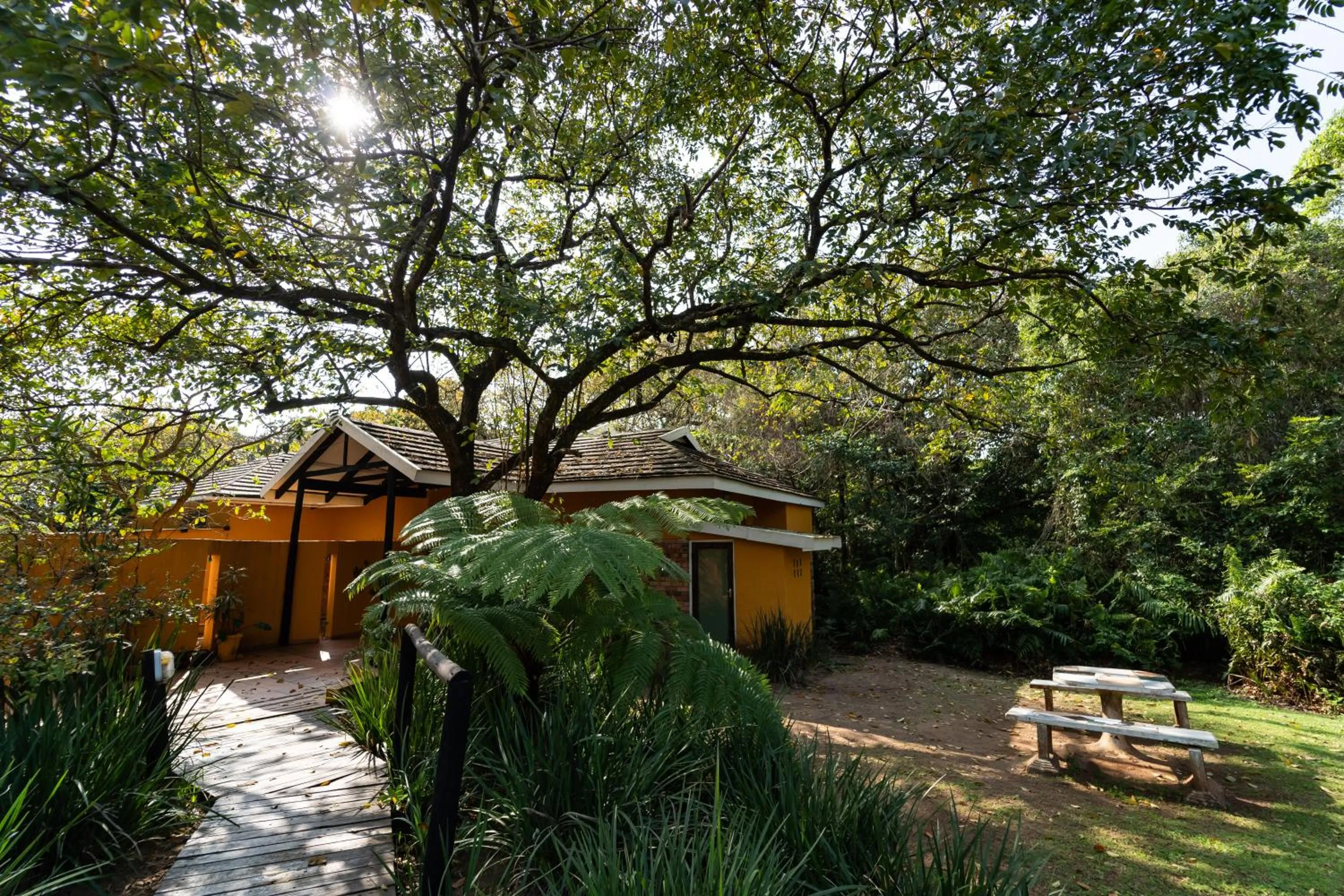 Garden in Mtunzini Forest Lodge Self Catering Resort