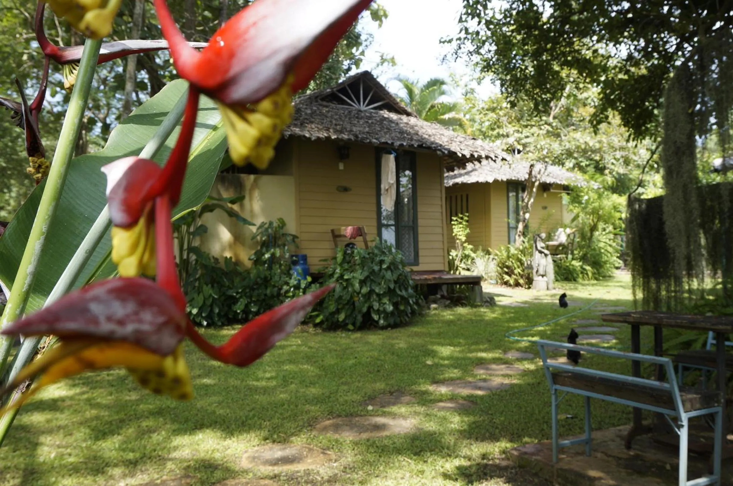 Property building in Bannamhoo Bungalows