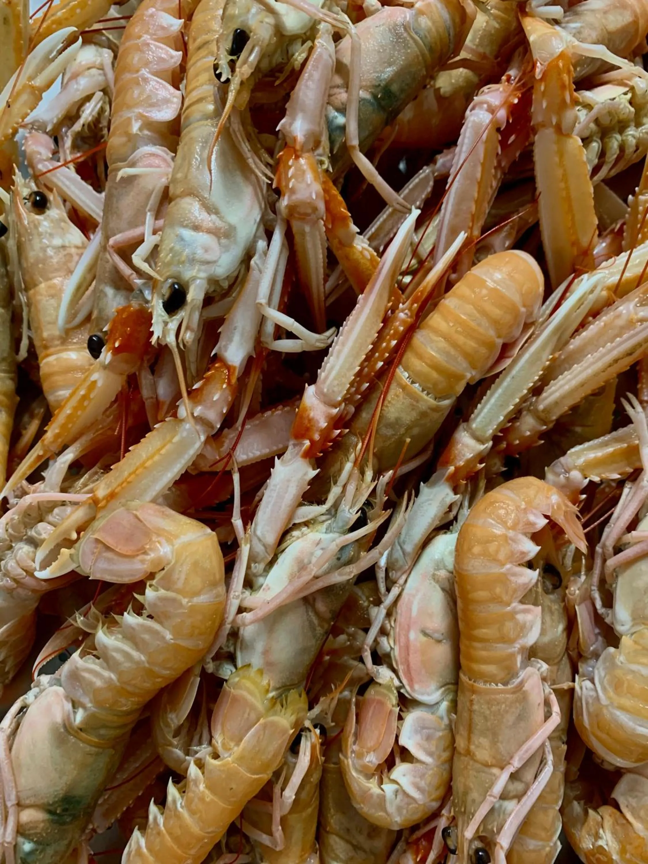 Food in La Caravella