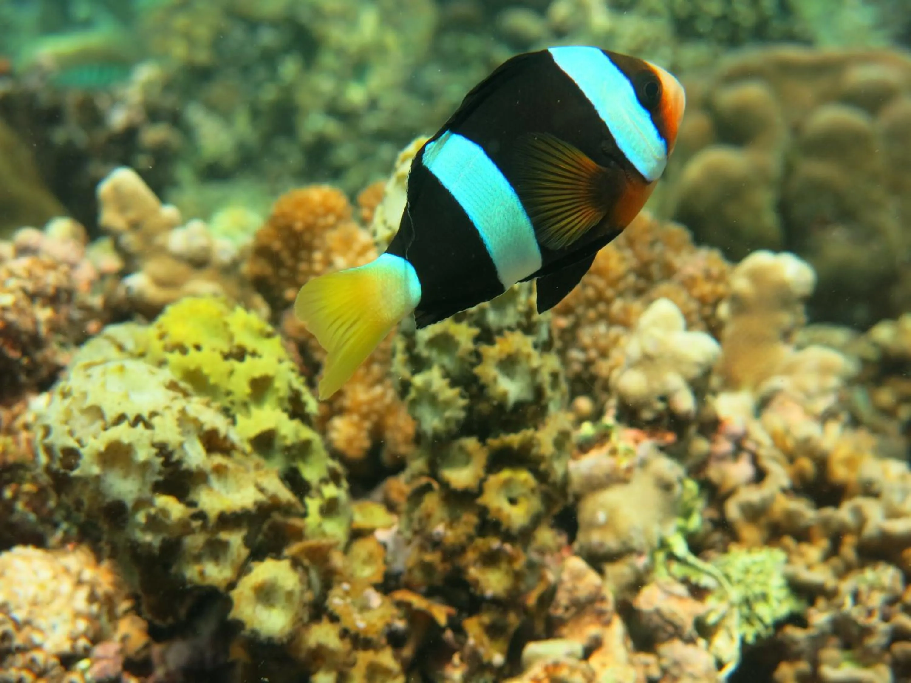 Off site in Kubu Sari Guest House