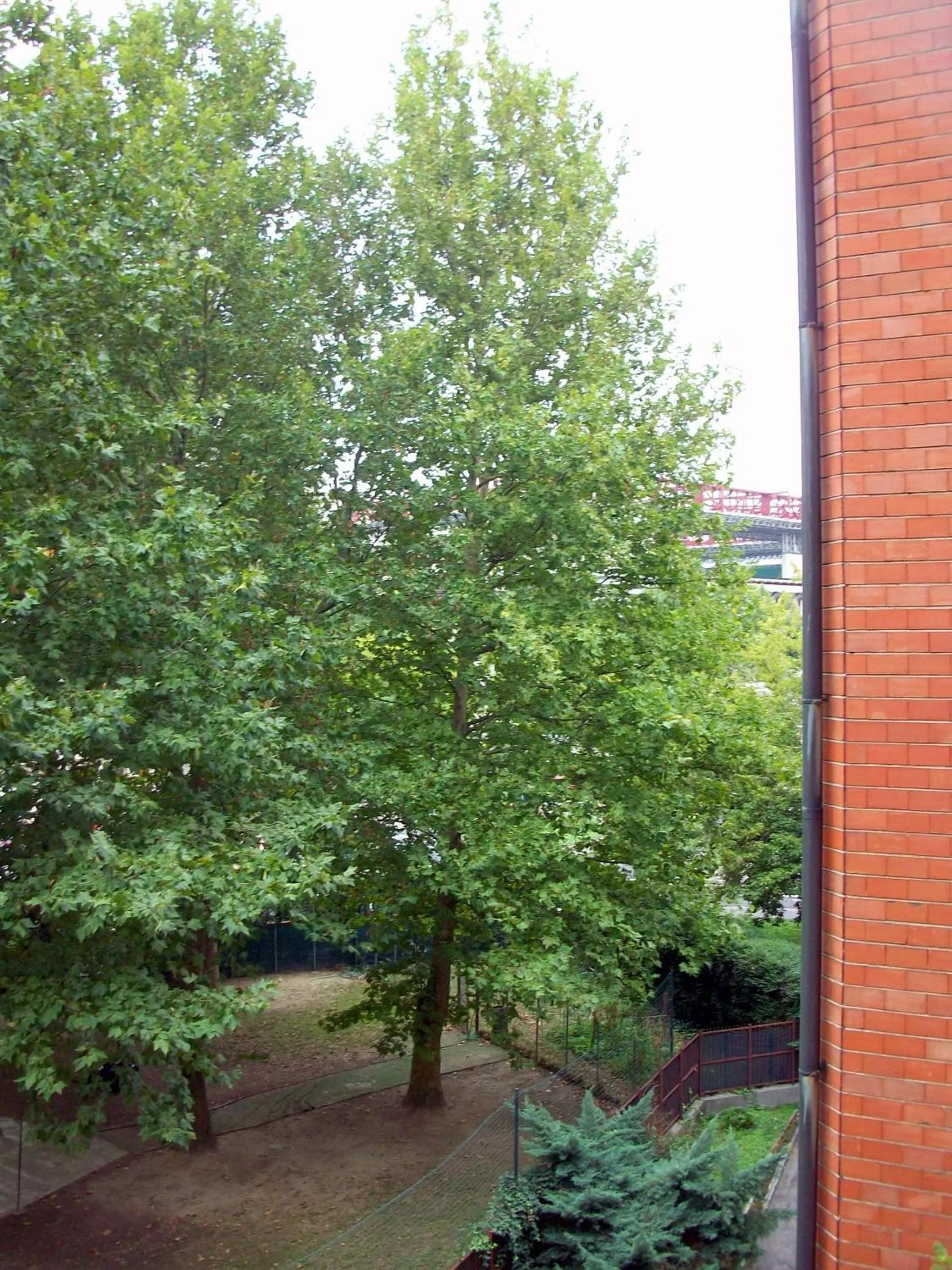 Activities in Bed & Breakfast A San Siro 75